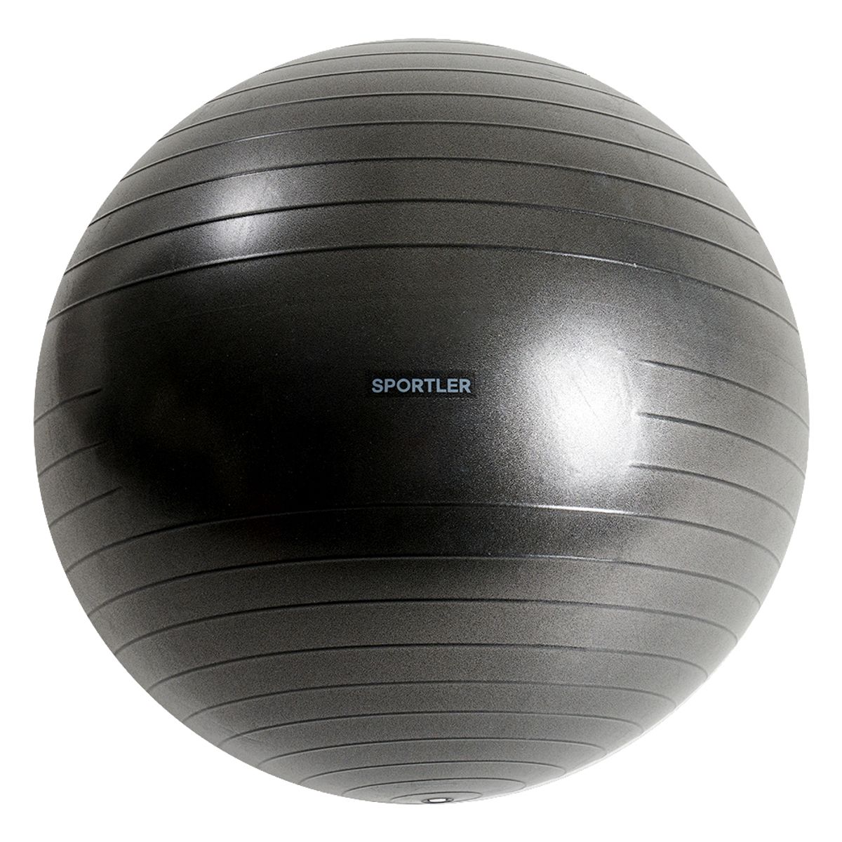 스포틀러(SPORTLER) 안티버스트 짐볼