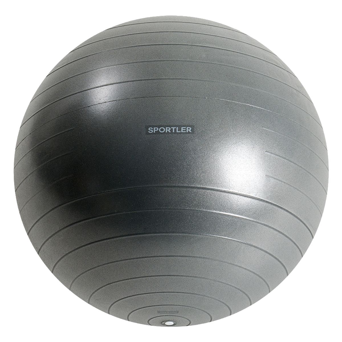 스포틀러(SPORTLER) 안티버스트 짐볼