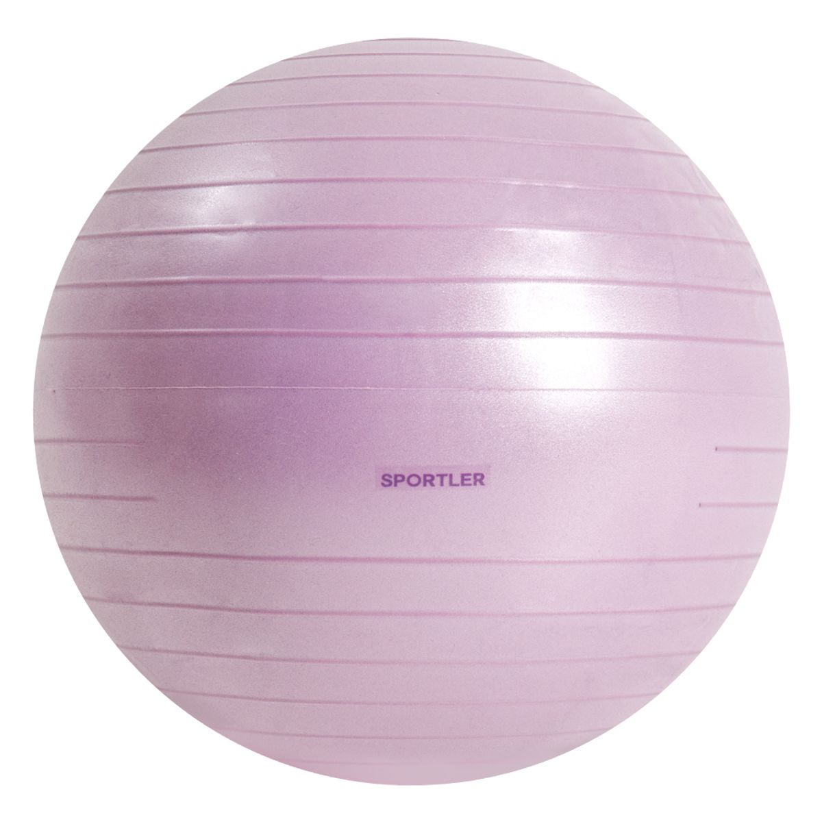 스포틀러(SPORTLER) 안티버스트 짐볼