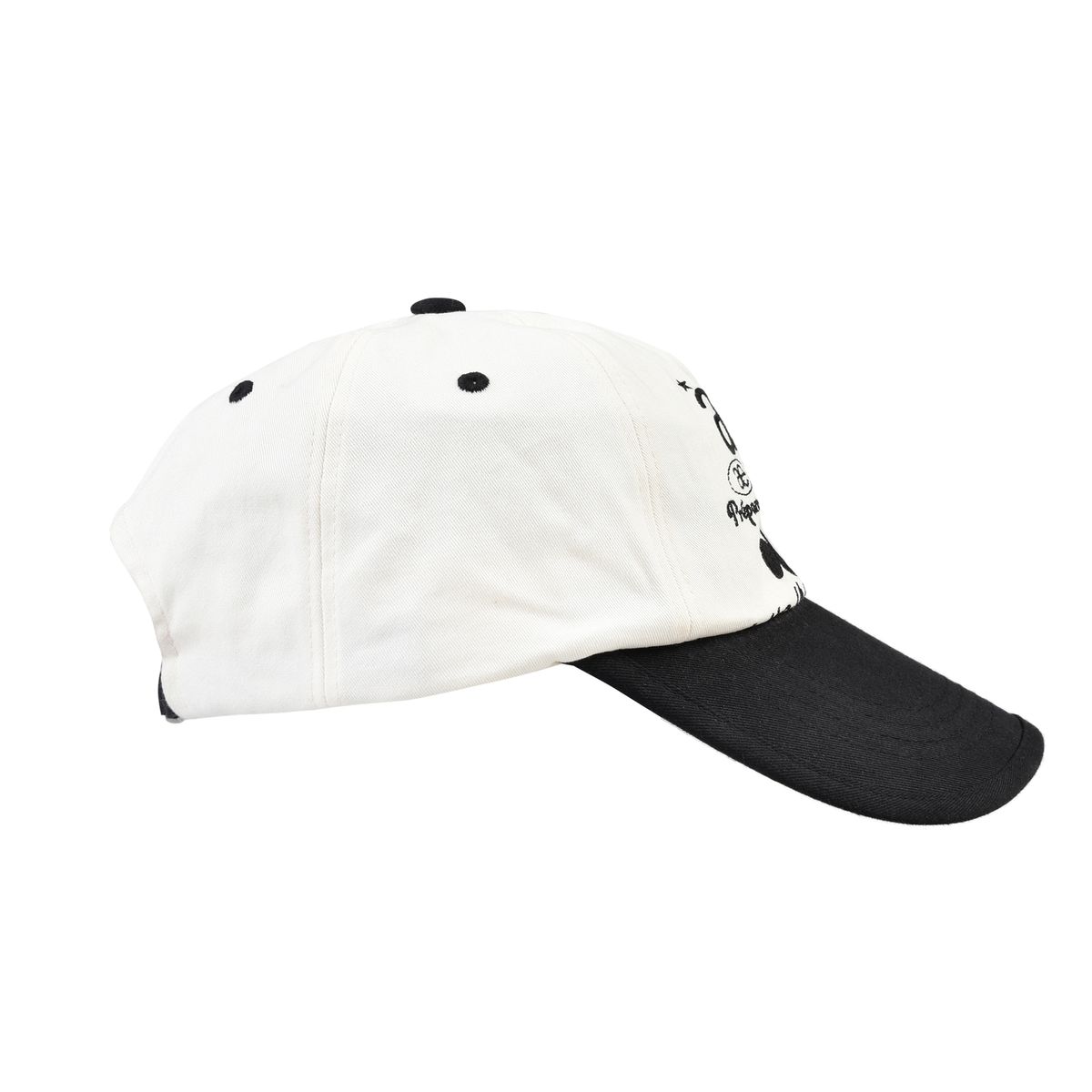 에이이에이이(AEAE) WEB LOGO TWO TONE BALL CAP - [WHITE/BLACK]
