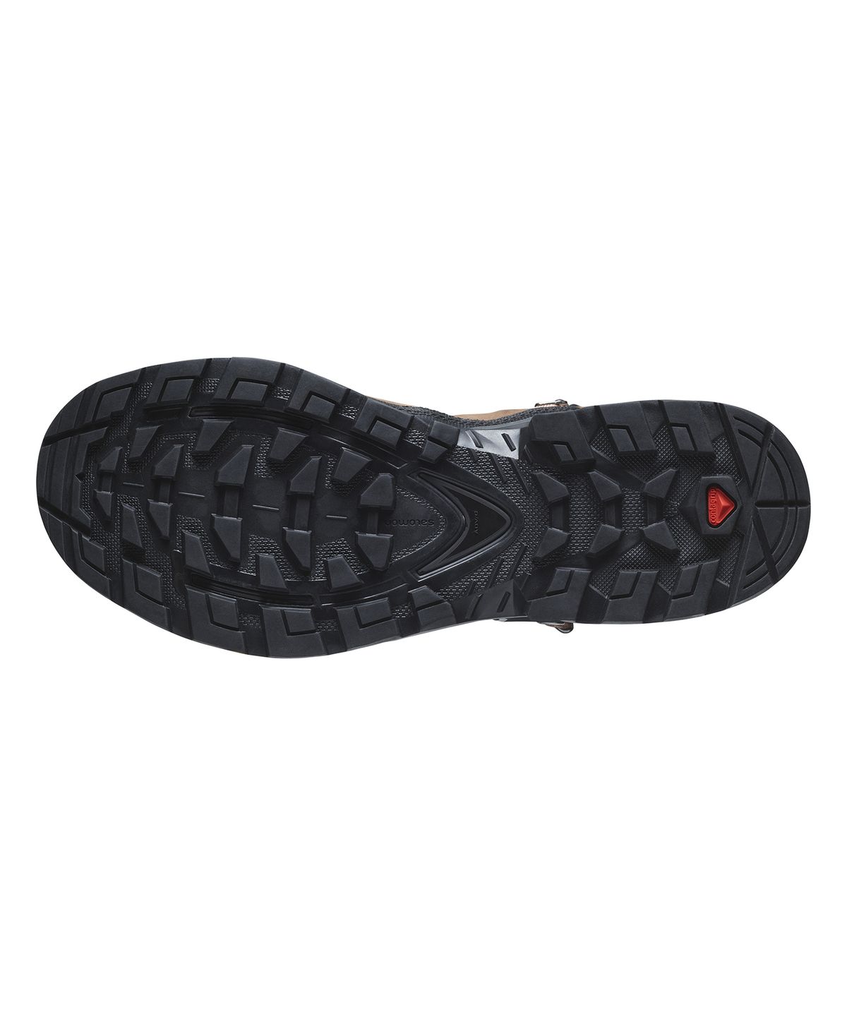 살로몬(SALOMON) 퀘스트 엘리먼트 GTX W - 모카 무스:퓨터:마린 블루 / L47157700