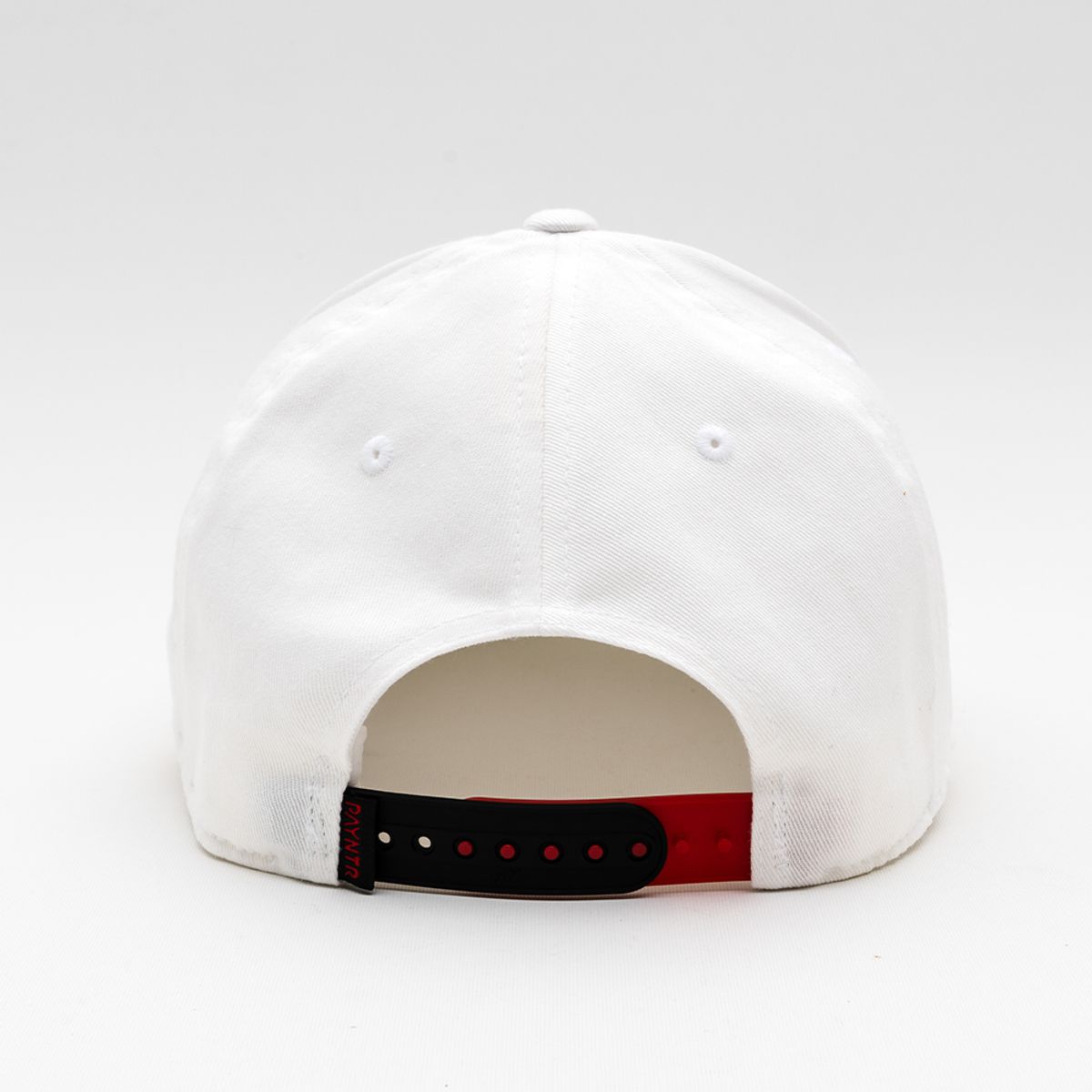 페인터골프(PAYNTR GOLF) PAYNTR Brand X