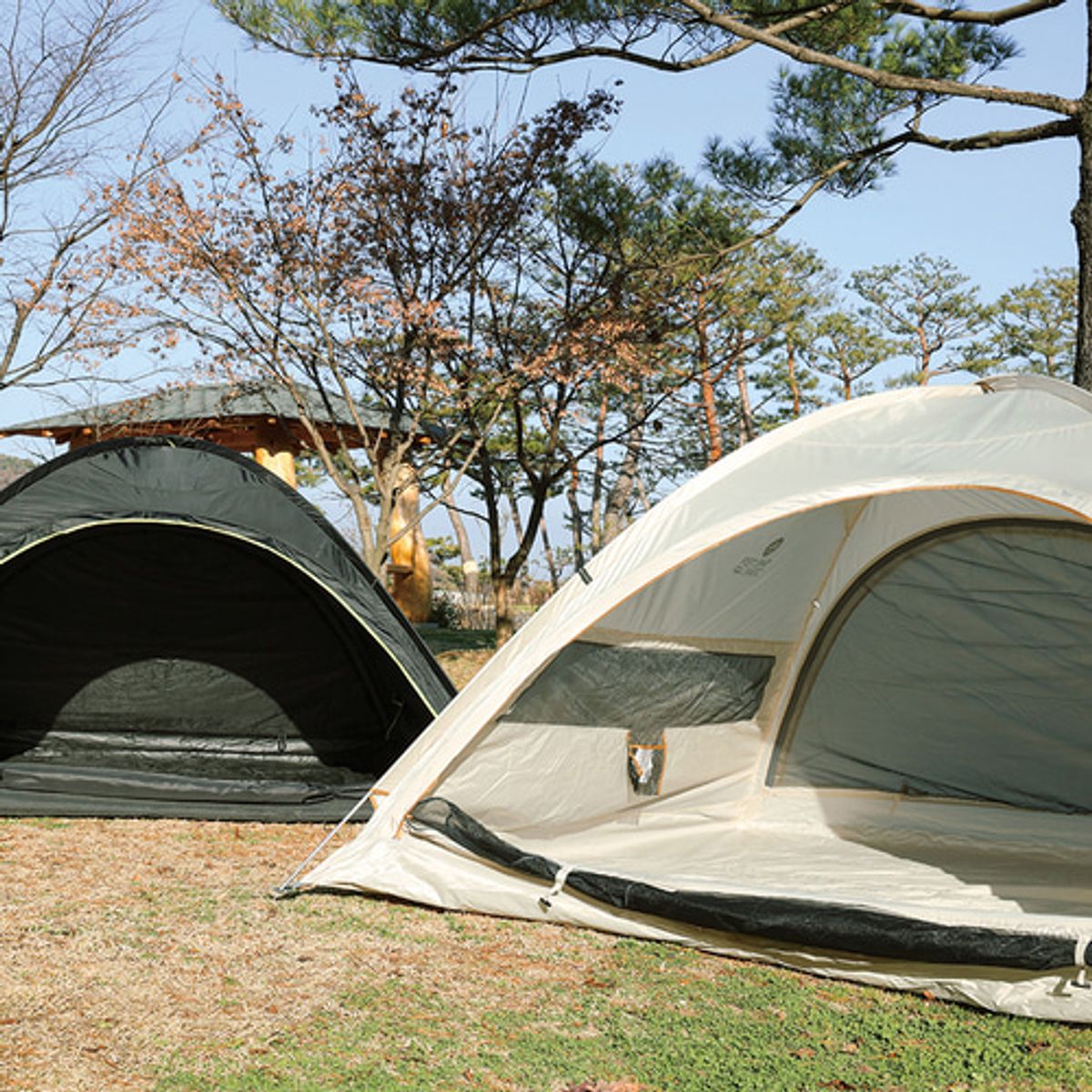 스노우라인(SNOWLINE) 쉘터돔4P텐트(22)