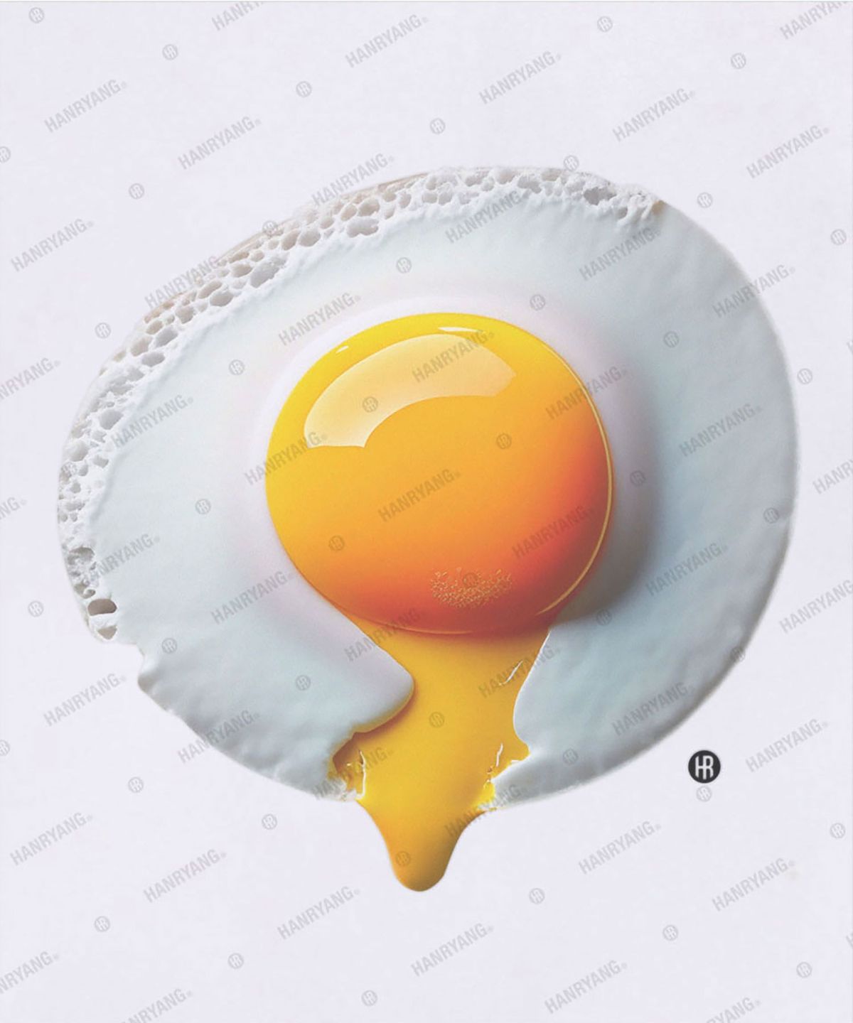 한량 컬렉티브(HANRYANG COLLECTIVE) HR® The best fried egg in the universe 계란 프라이 화이트 반팔 티셔츠
