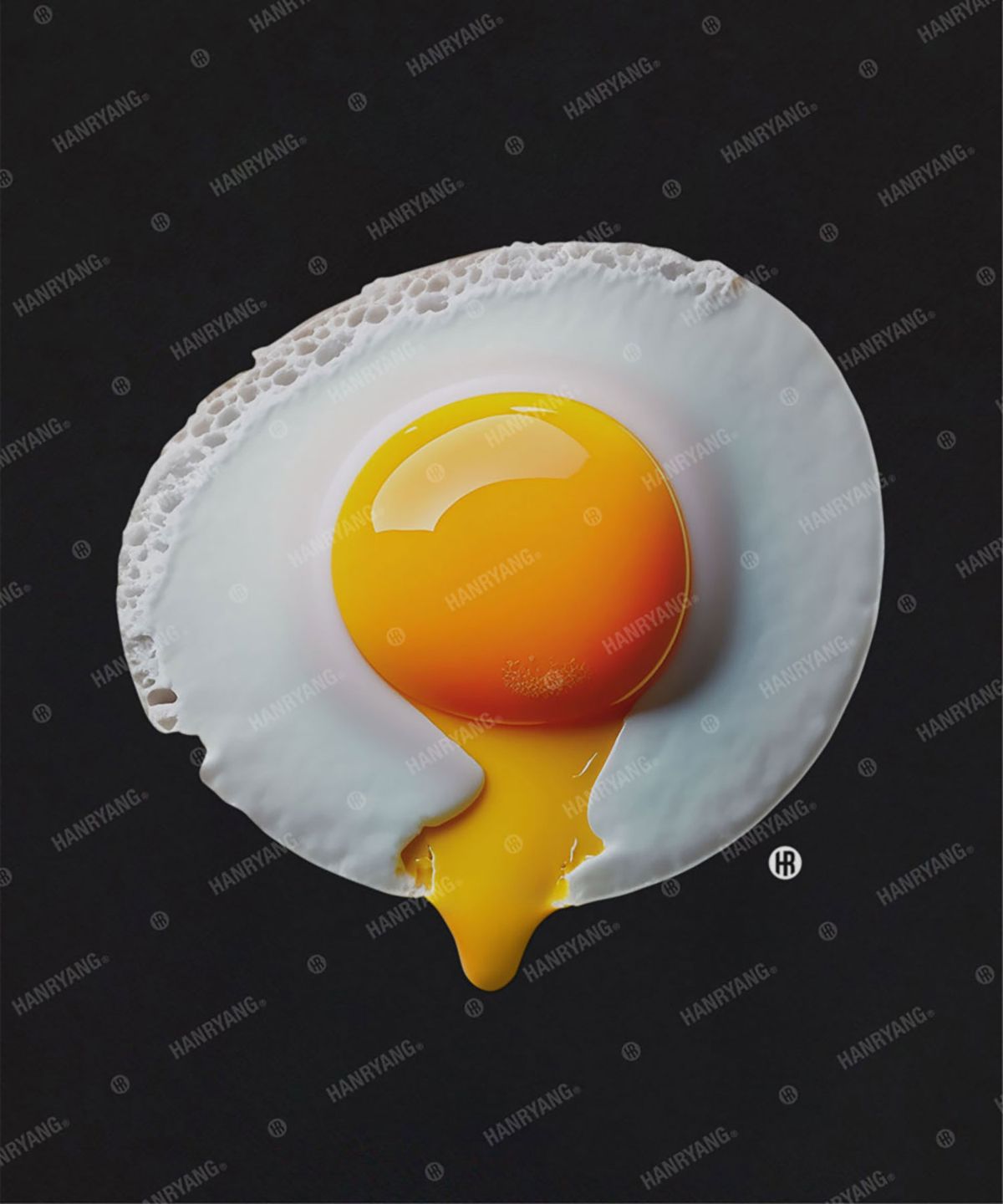 한량 컬렉티브(HANRYANG COLLECTIVE) HR® The best fried egg in the universe 계란 프라이 블랙 반팔 티셔츠