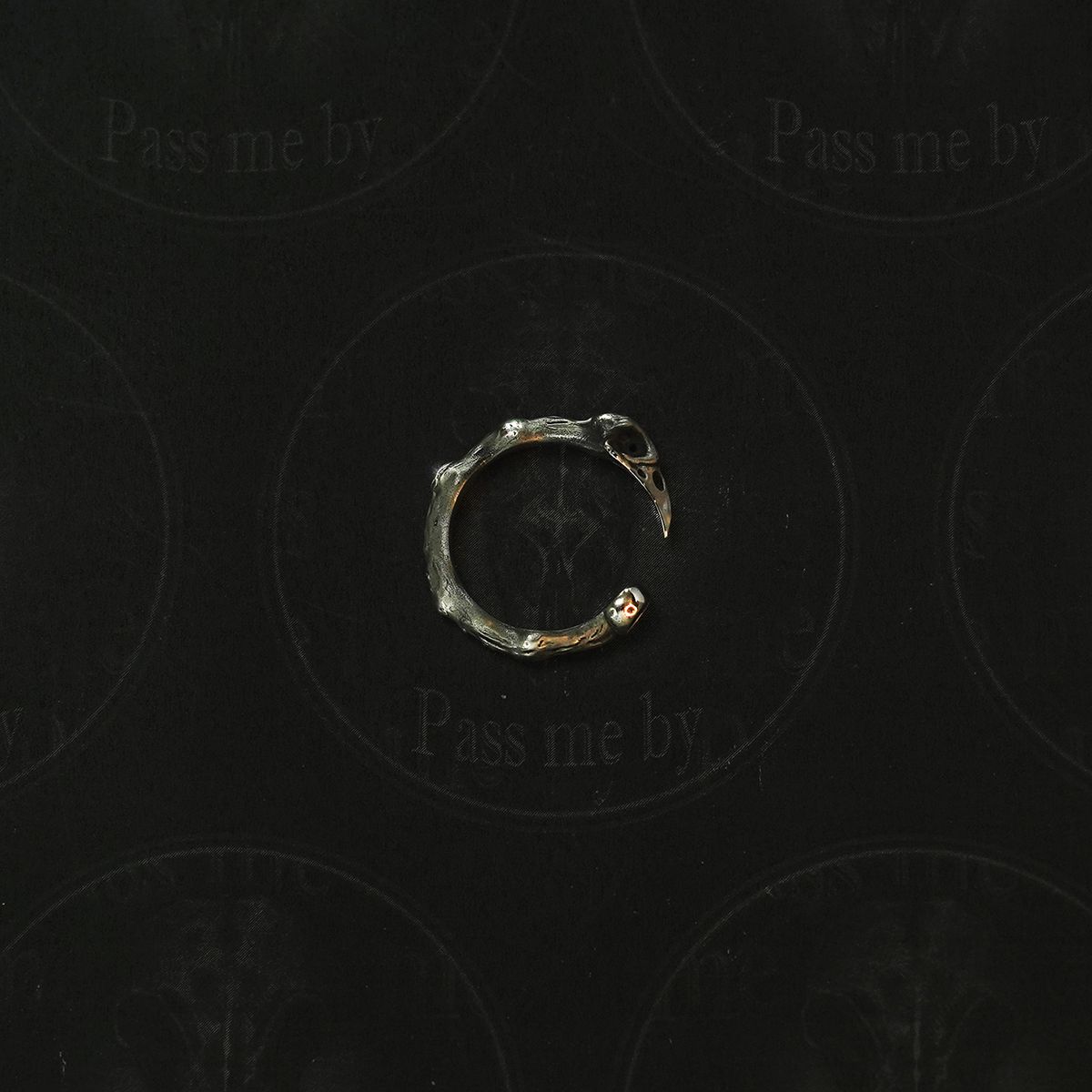 패스 미 바이(PASS ME BY) Raven Symbol