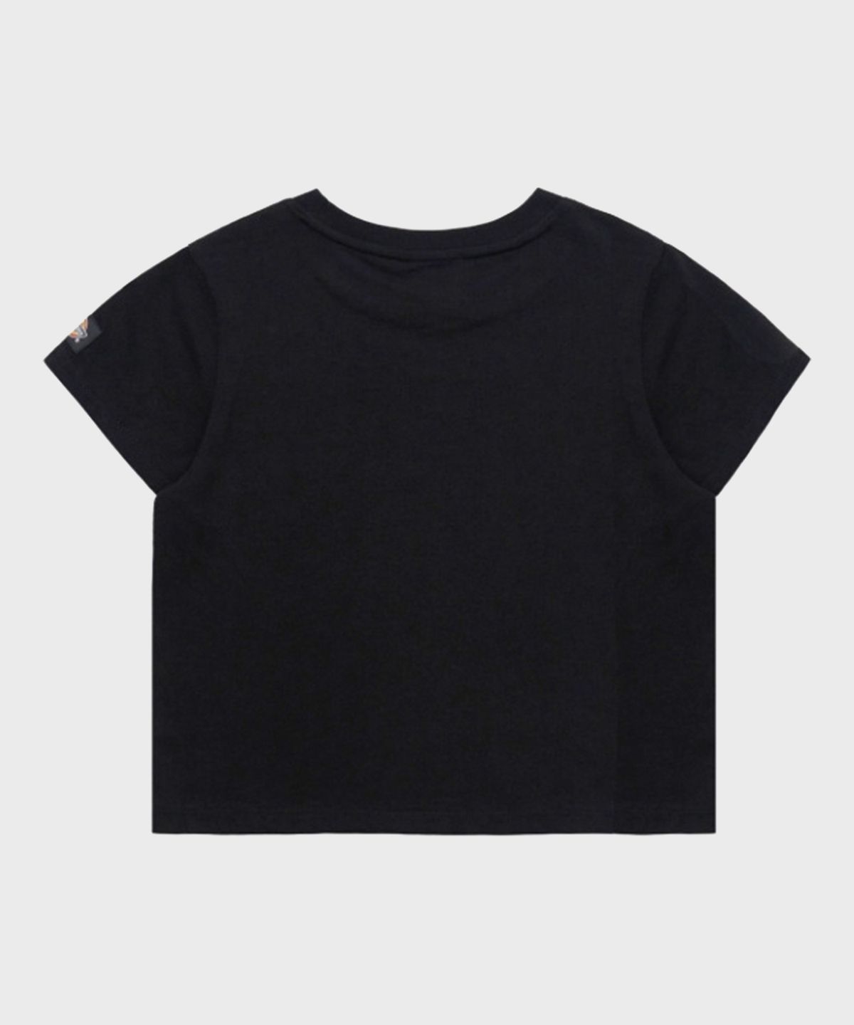 디키즈(DICKIES) 플레임 D 크롭 티셔츠 Black