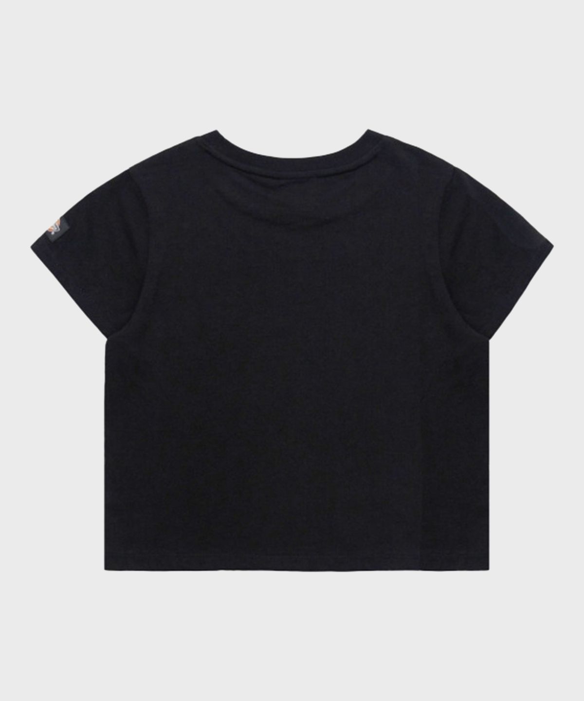 디키즈(DICKIES) 플레임 1922 크롭 티셔츠 Black
