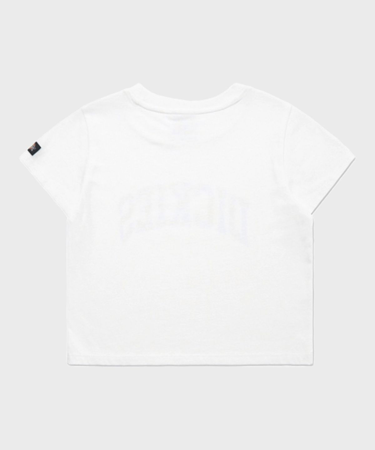 디키즈(DICKIES) 플레임 1922 크롭 티셔츠 White