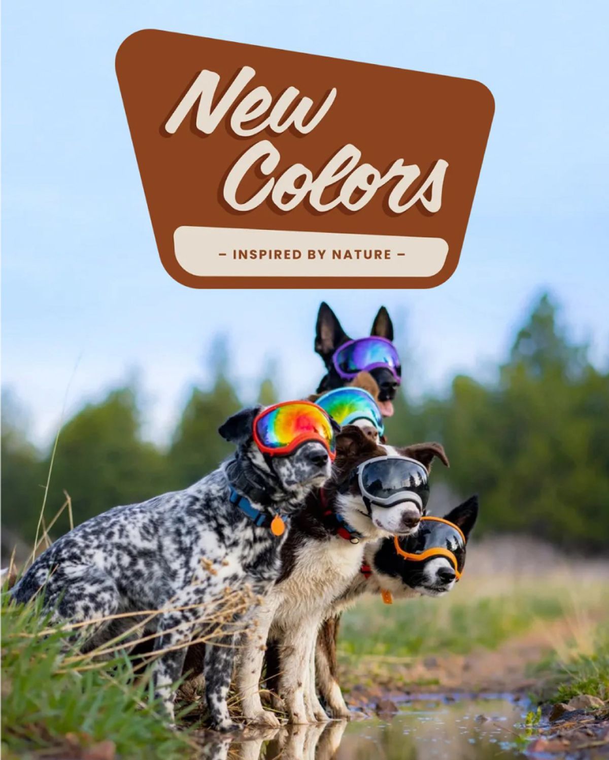 렉스스펙스(REX SPECES) 오자크 오렌지 프레임 / 스모크 렌즈 반려견 고글 V2