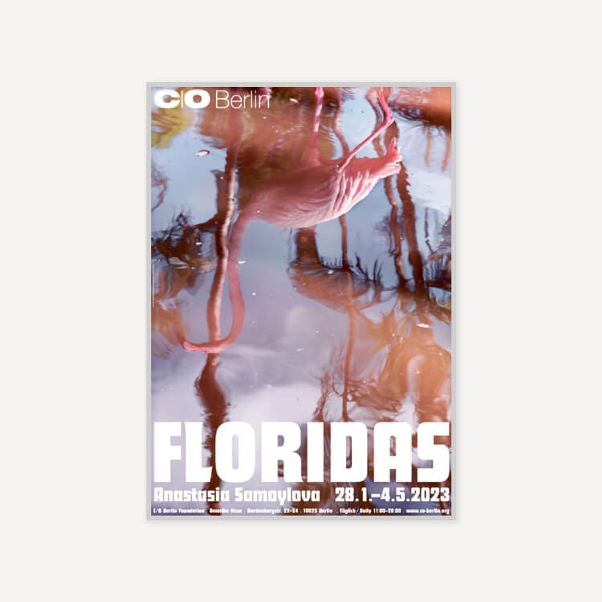 그릿시즌(GREET SEASON) 아나스타샤 사모이로바 Floridas (액자 포함)