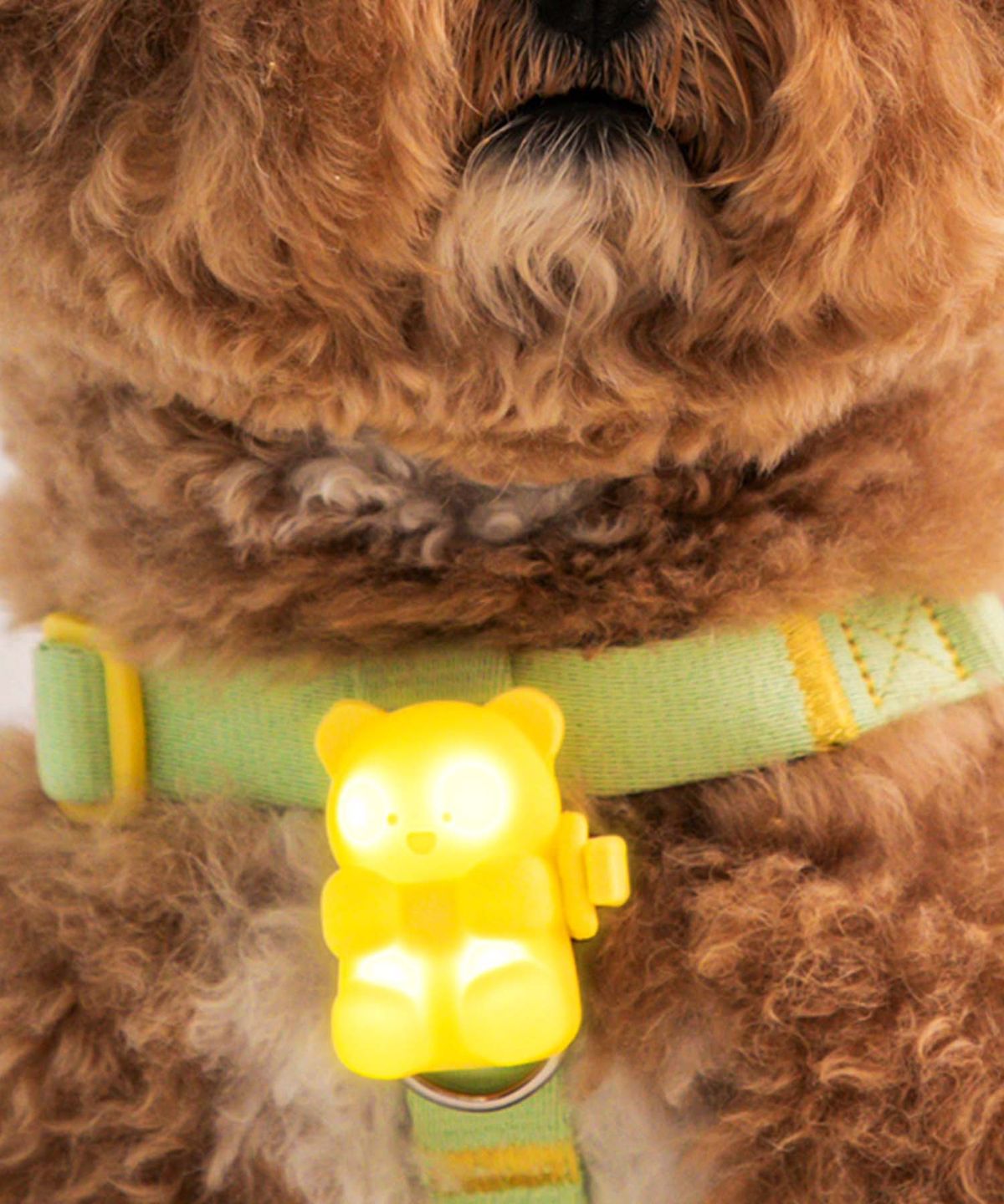 바잇미(BITEME) 강아지 야간산책 젤리곰 LED 충전식 블링커 (3 colors)