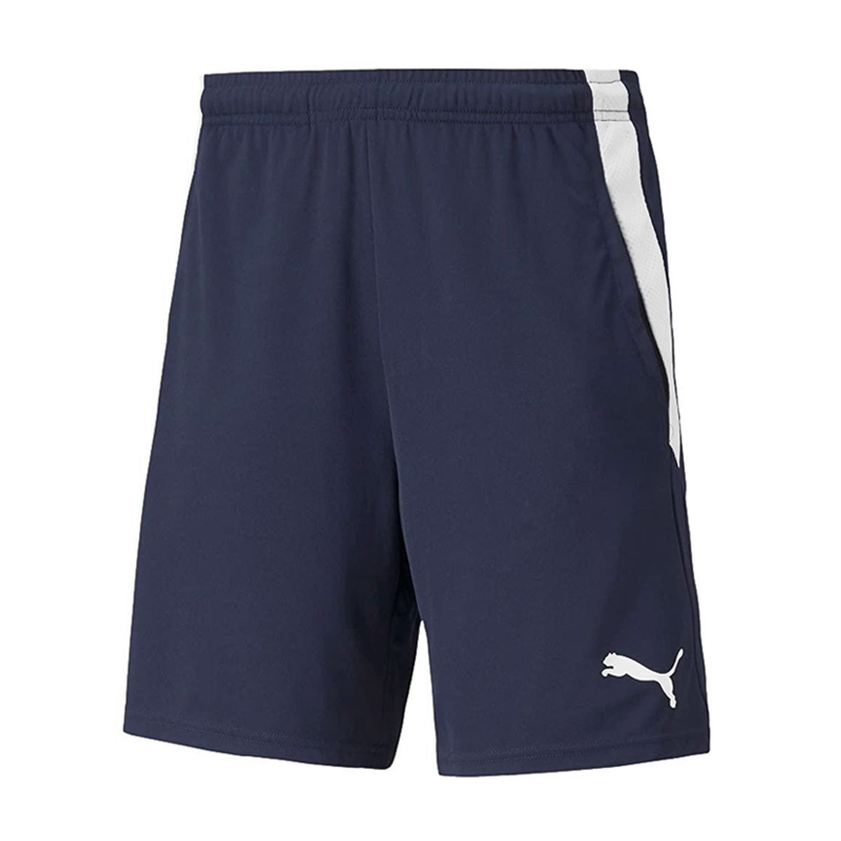 푸마(PUMA) 팀리가 멀티스포츠 우븐 쇼츠(65839306) 남자 반바지