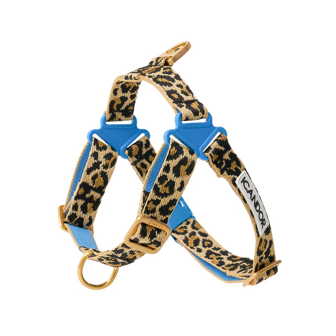 MUSINSA | iCANDOR set no-pull harness+gentle leopard