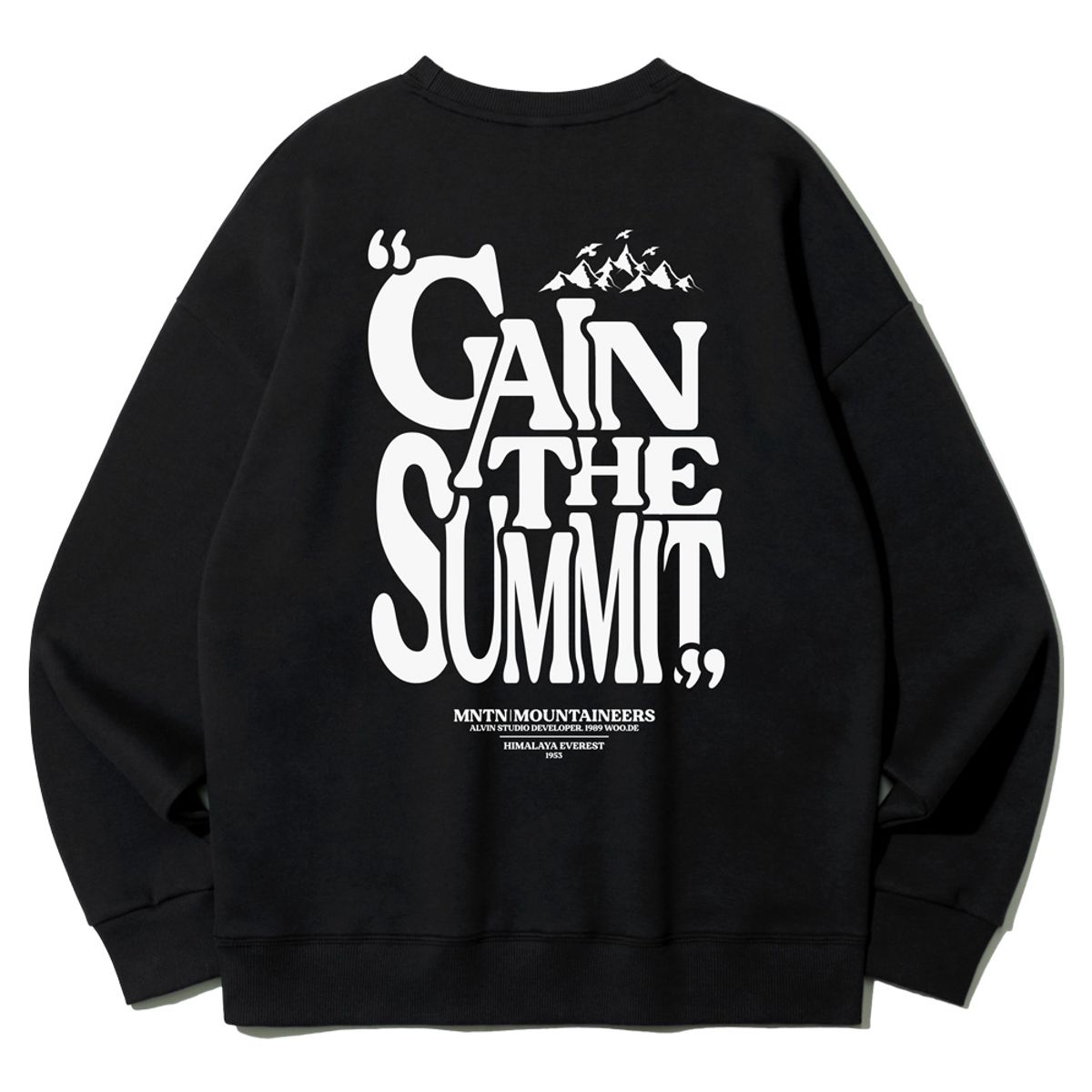 앨빈클로 주니어(ALVINCLO JUNIOR) GAIN THE SUMMIT 맨투맨 J2646 3컬러