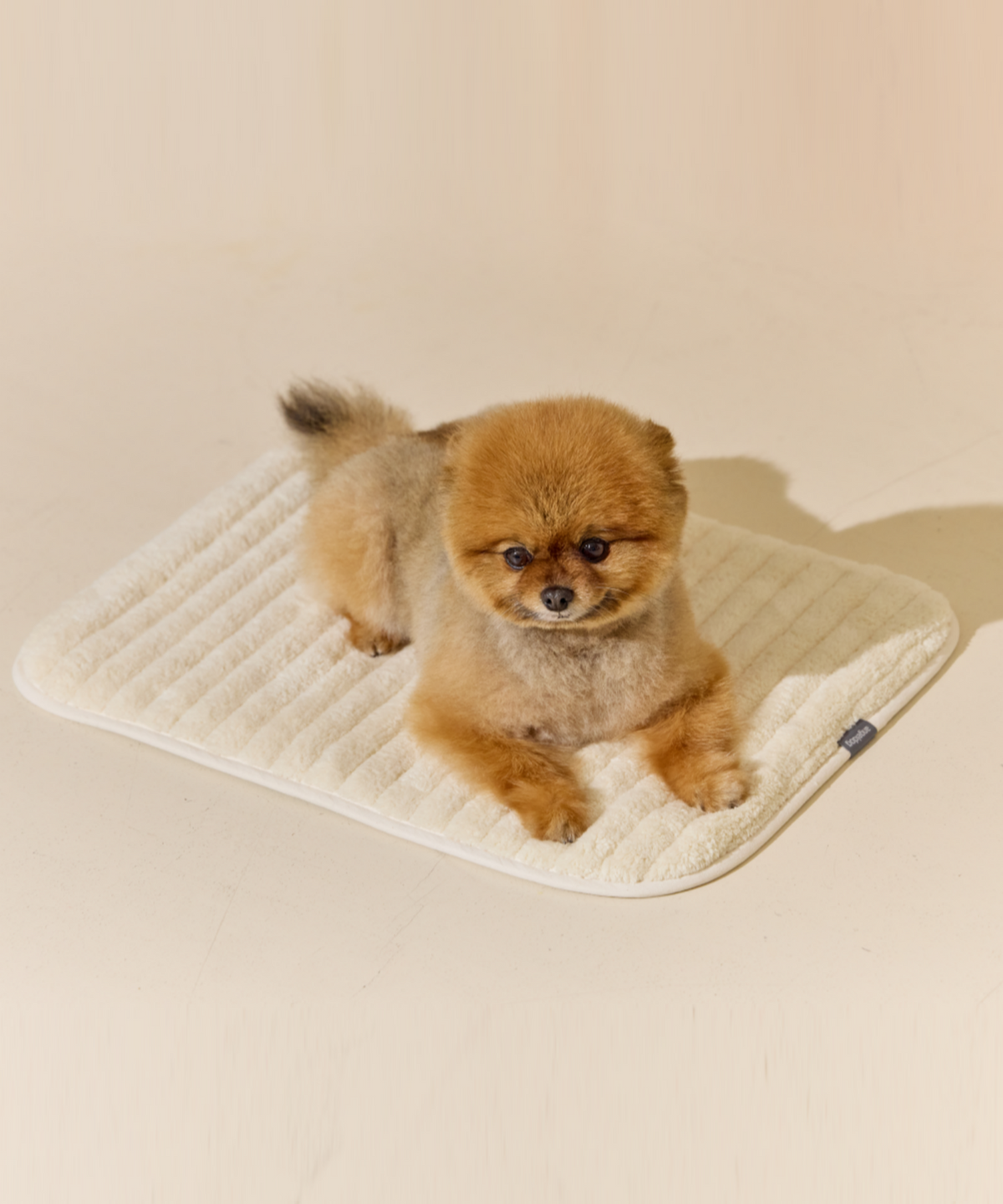엔젤도그(ANGEL DOG) 강아지 쿨매트 개어리즘 2Way 방석 Ice Mint