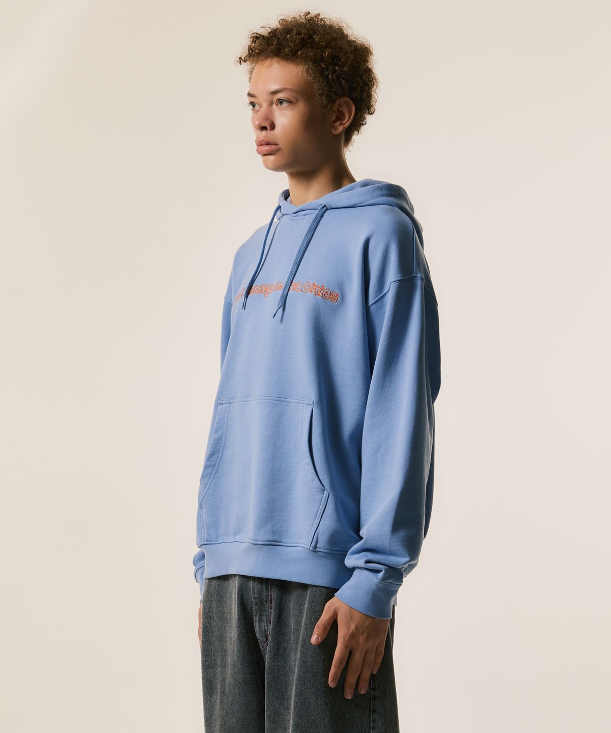 엘엠씨(LMC) FN DOODLE HOODIE ash blue