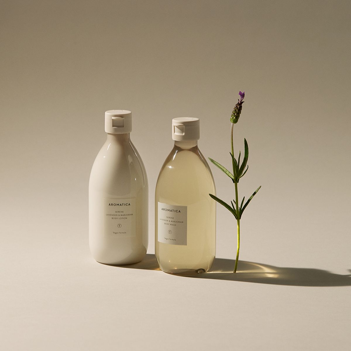 아로마티카(AROMATICA) (평온한 향/선물포장) 라벤더 바디워시 & 로션 세트