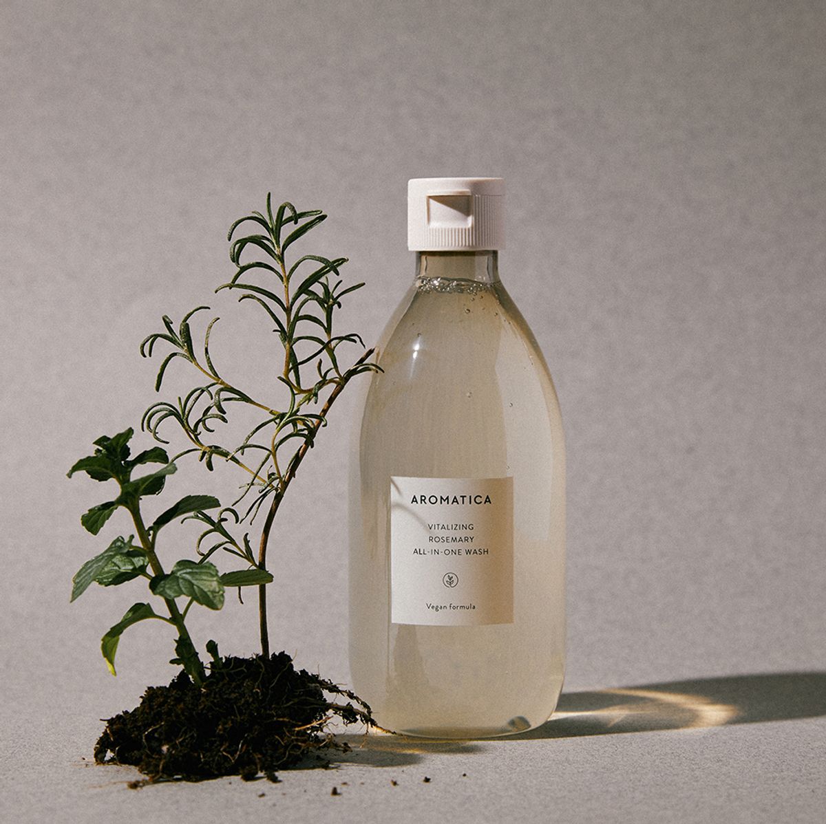 아로마티카(AROMATICA) (산뜻한 향/선물포장) 로즈마리 바디워시 & 로션 세트