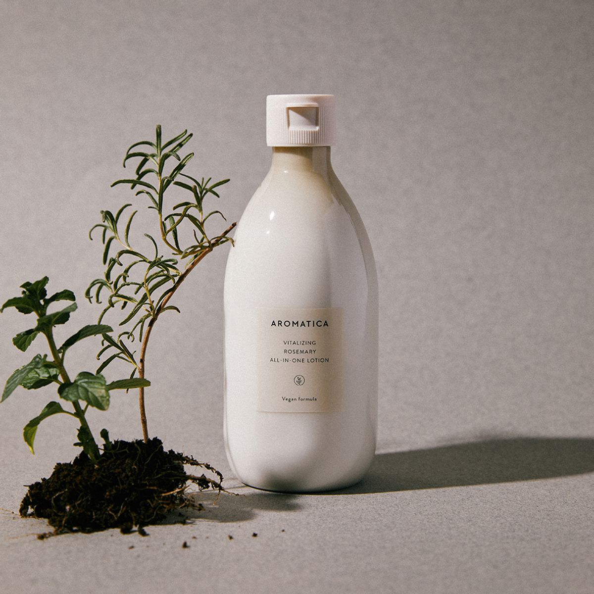 아로마티카(AROMATICA) (산뜻한 향/선물포장) 로즈마리 바디워시 & 로션 세트