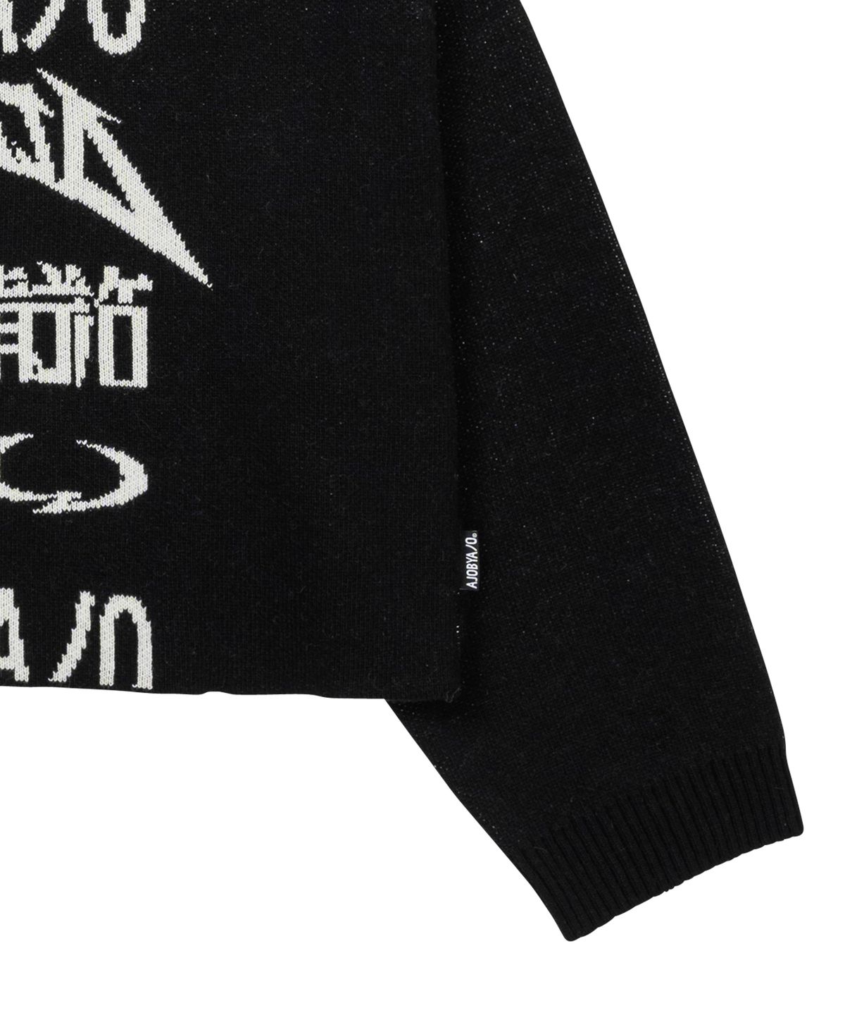 아조바이아조(AJOBYAJO) [PBA] Total Logo Cropped Sweater [BLACK]