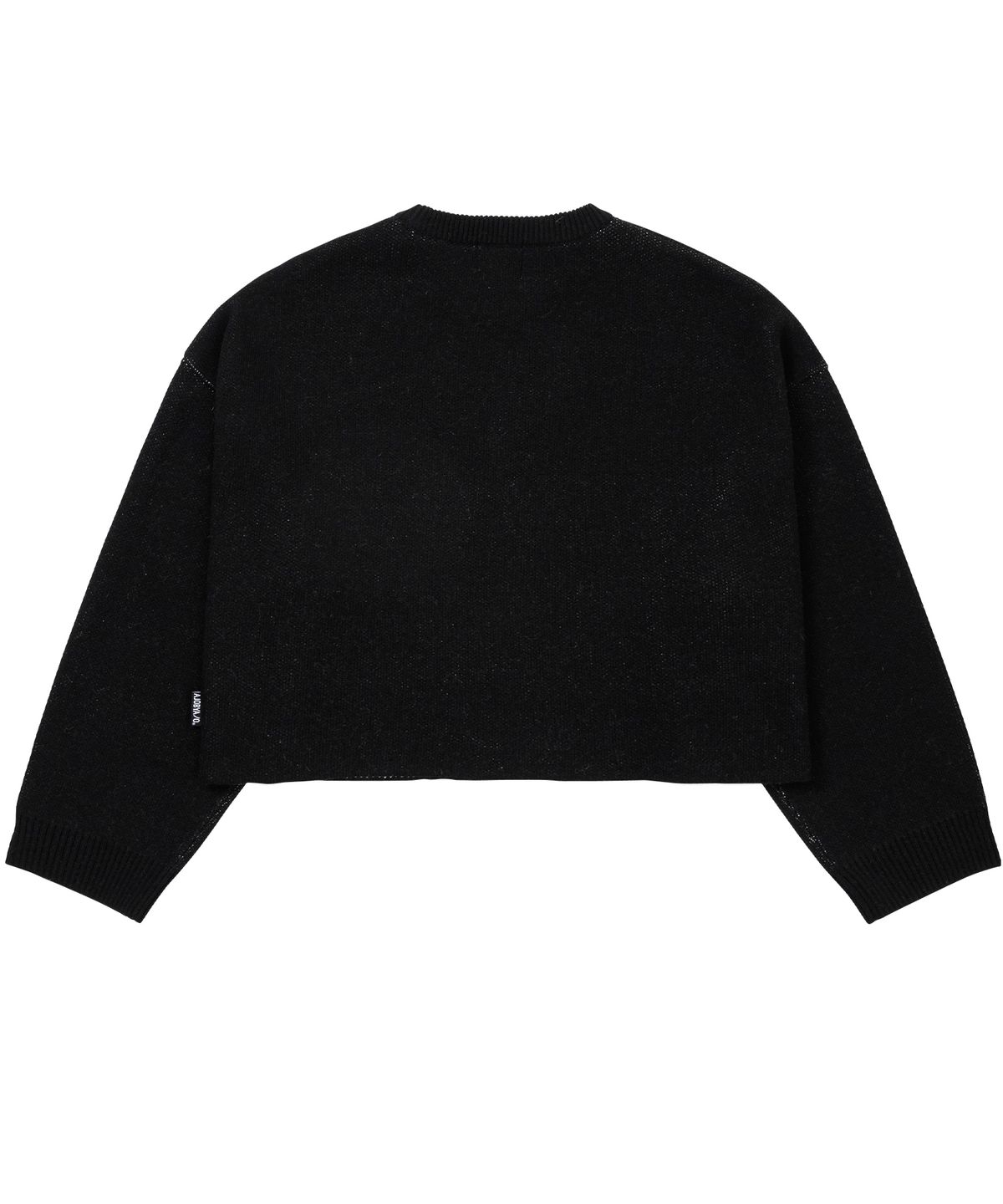 아조바이아조(AJOBYAJO) [PBA] Total Logo Cropped Sweater [BLACK]
