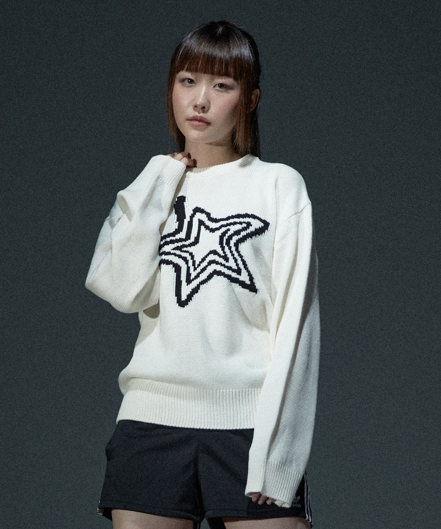 JOSE MOON ANGORA 2WAY KNIT 2024AW 洗える 白 WEB限定】カラー ハイネックニット≪手洗い可能≫ | LAUTREAMONT