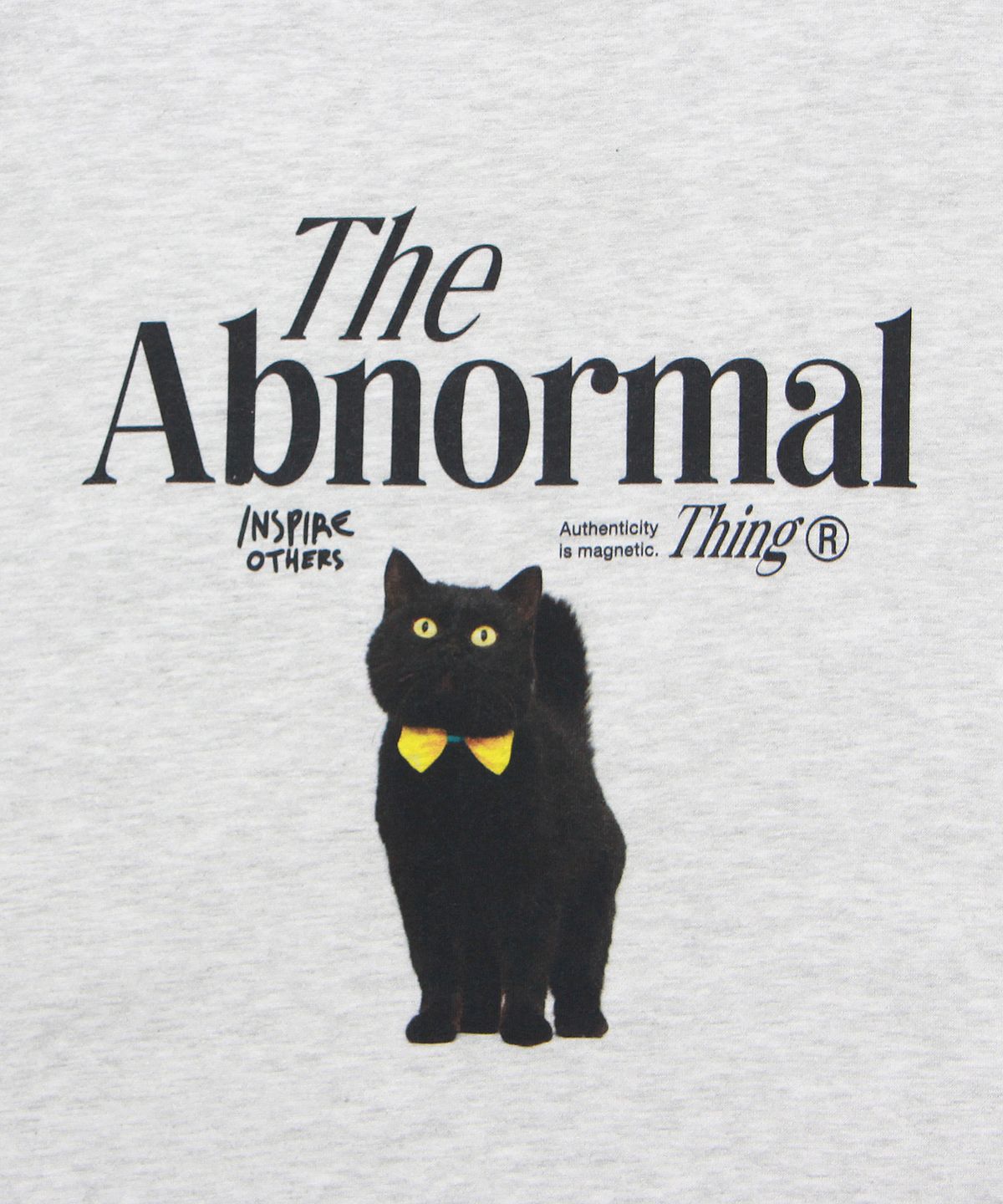 앱놀머씽(ABNORMALTHING) AWESOME23 CREWNECK (LIGHT GREY)