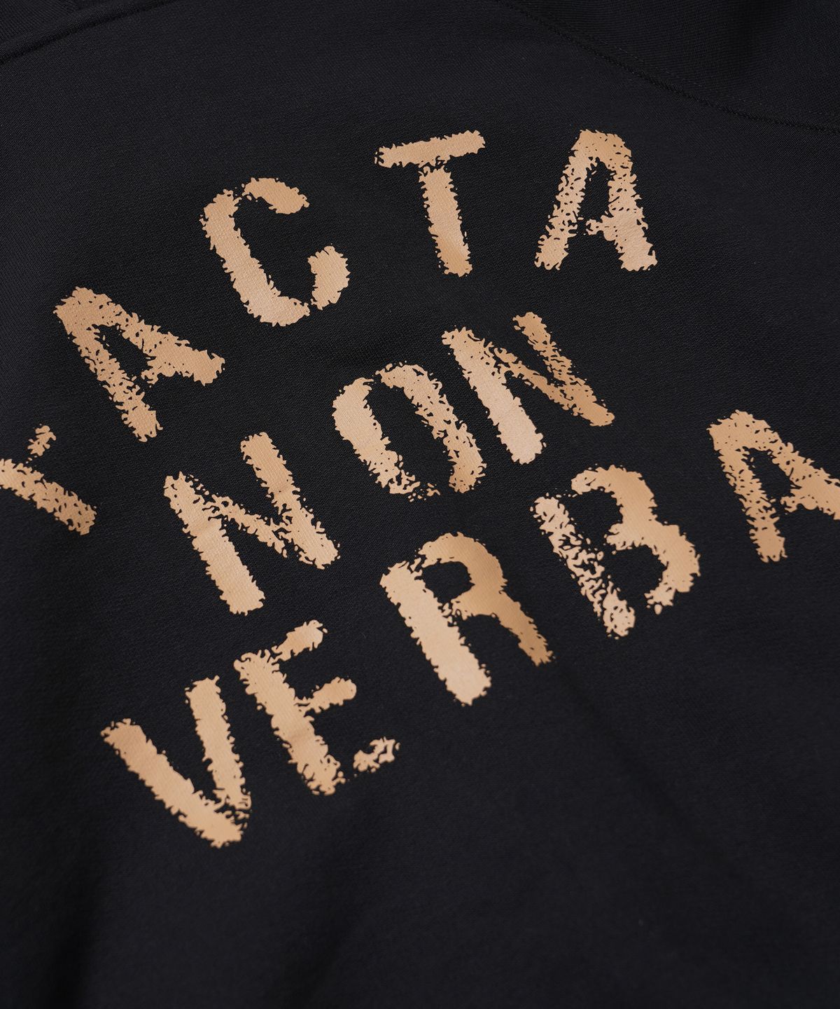 프리즘웍스(FRIZMWORKS) FACTA NON VERBA HOODY _ BLACK