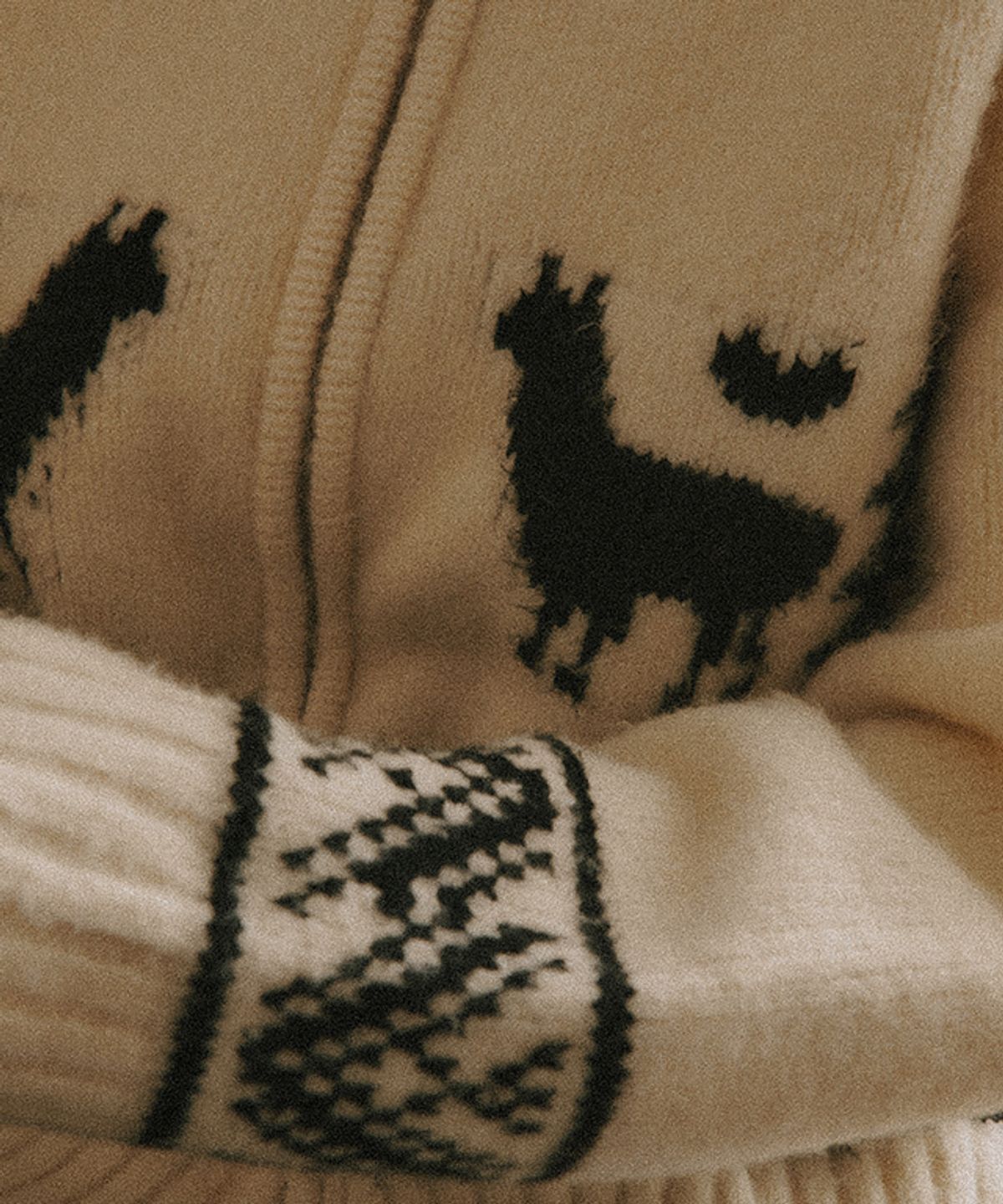 론론(RONRON) ALPACA JACQUARD HOOD ZIP-UP KNIT CREAM