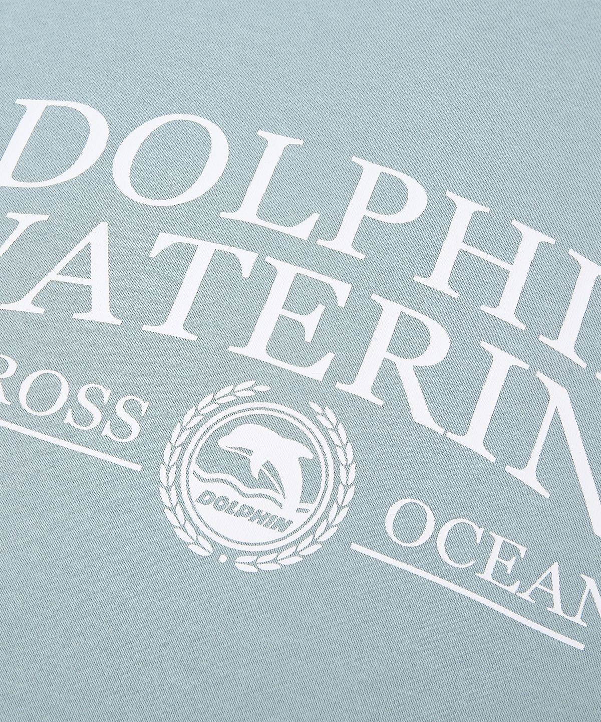 돌핀웨이브어패럴(DOLPHIN WAVE APPAREL) 돌핀 워터링 에센셜 기모 스웻셔츠 블루