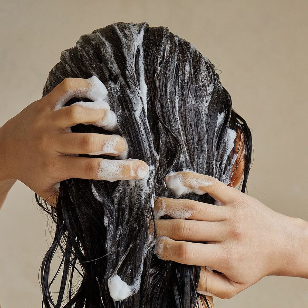 라페름(LA FERME) 라미나리아 샴푸 파인 앤 유칼립투스 1000ml + 샤쉐 6종 사은품 증정