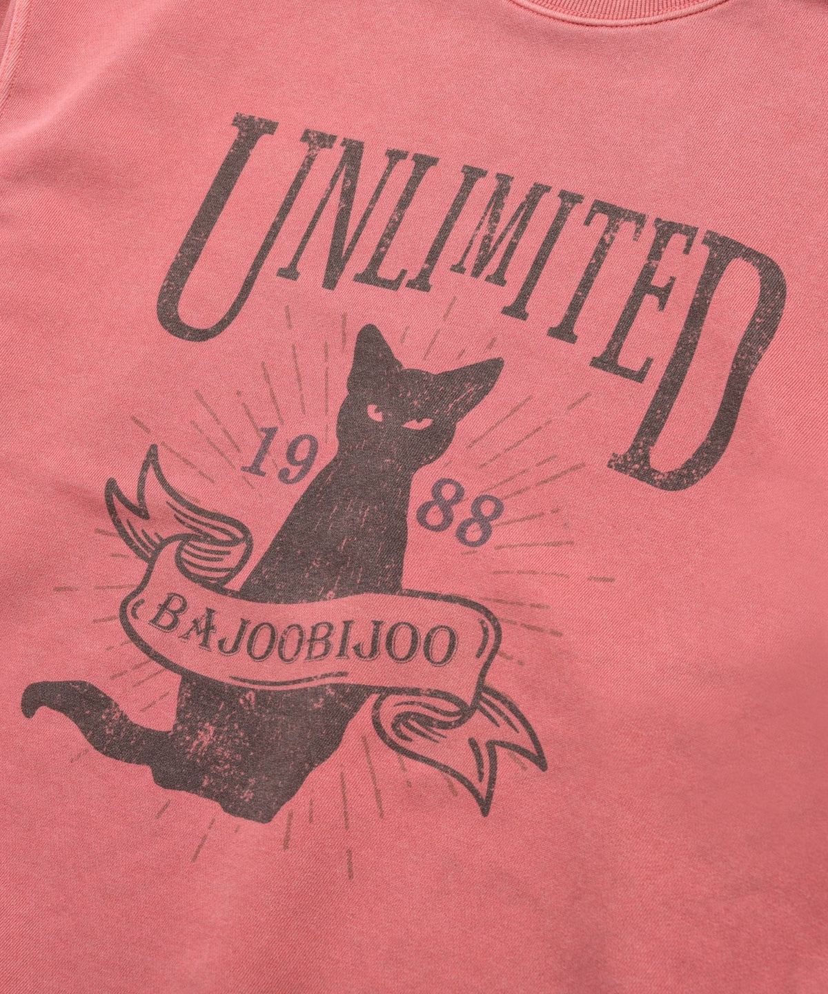 바쥬비쥬(BAJOO BIJOO) Unlimited Cat Pigment Sweatshirt [Indigo Pink]