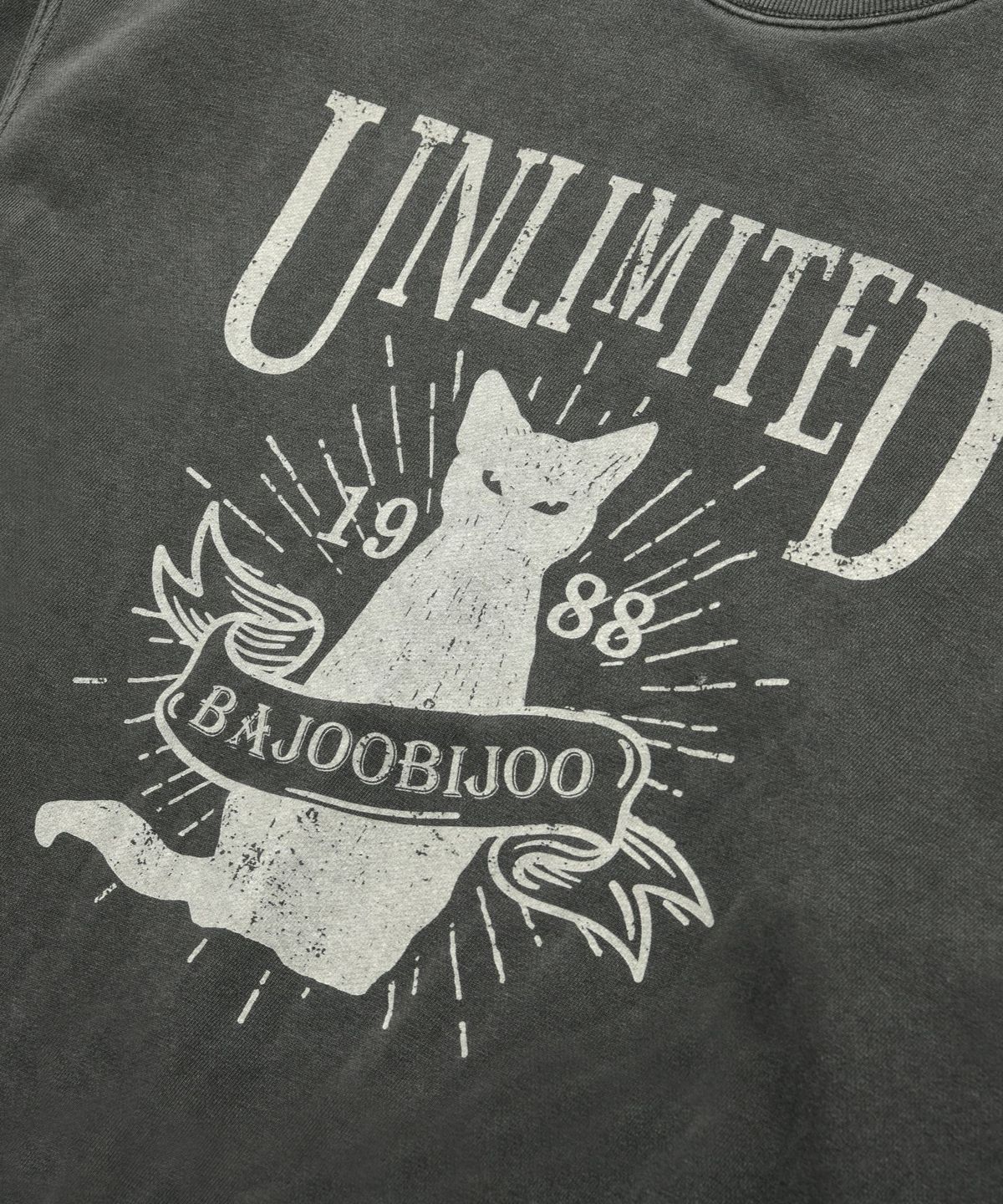 바쥬비쥬(BAJOO BIJOO) Unlimited Cat Pigment Sweatshirt [Chacoal]