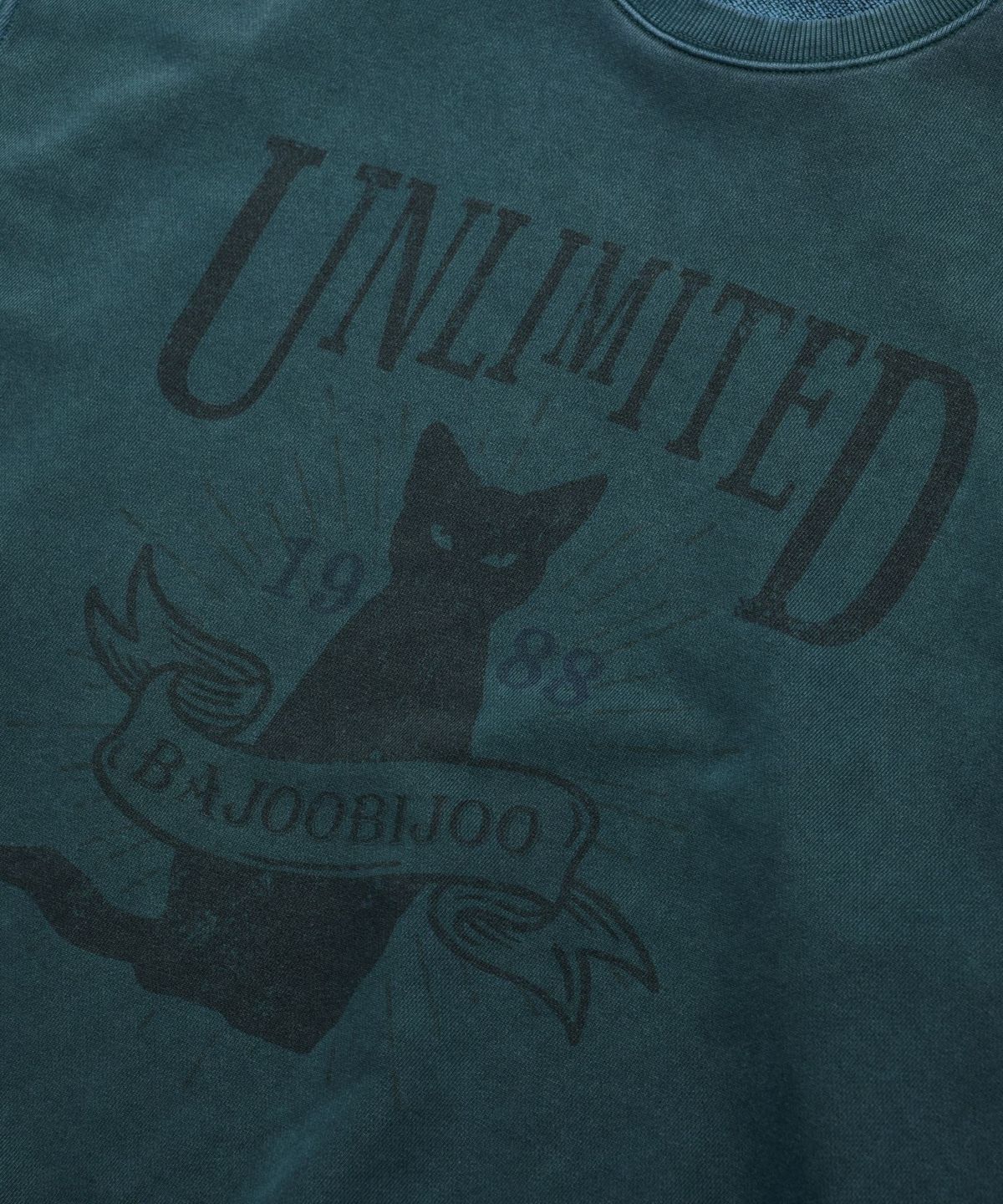 바쥬비쥬(BAJOO BIJOO) Unlimited Cat Pigment Sweatshirt [Blue Green]