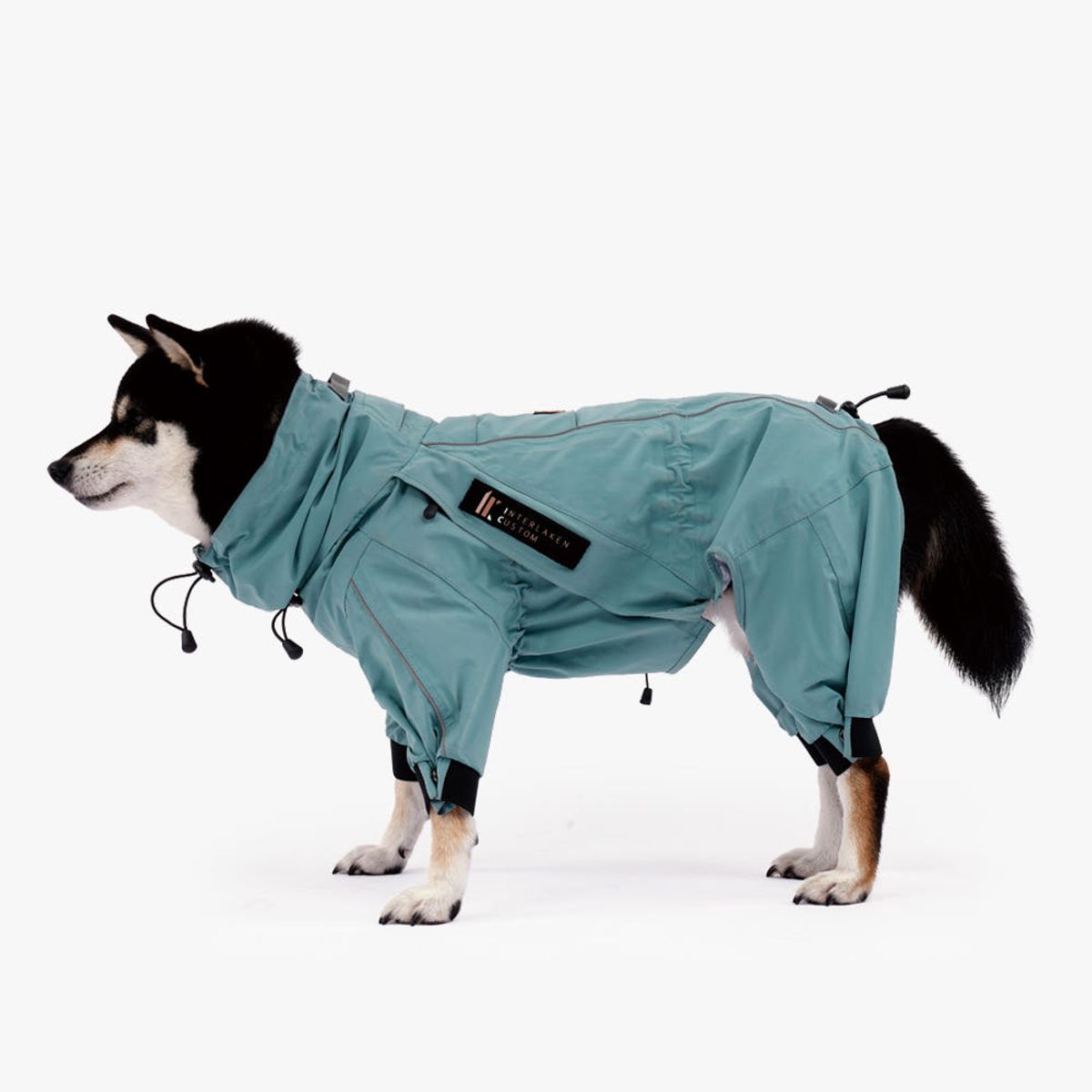 니즈더펫(NEEDS THE PET) 인터라켄 올인원 강아지 레인코트