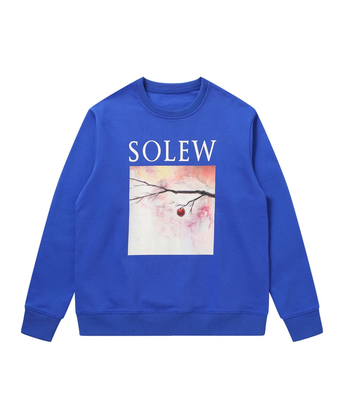 소루(SOLEW) 빅 프린트 루즈핏 스웨트셔츠_블루