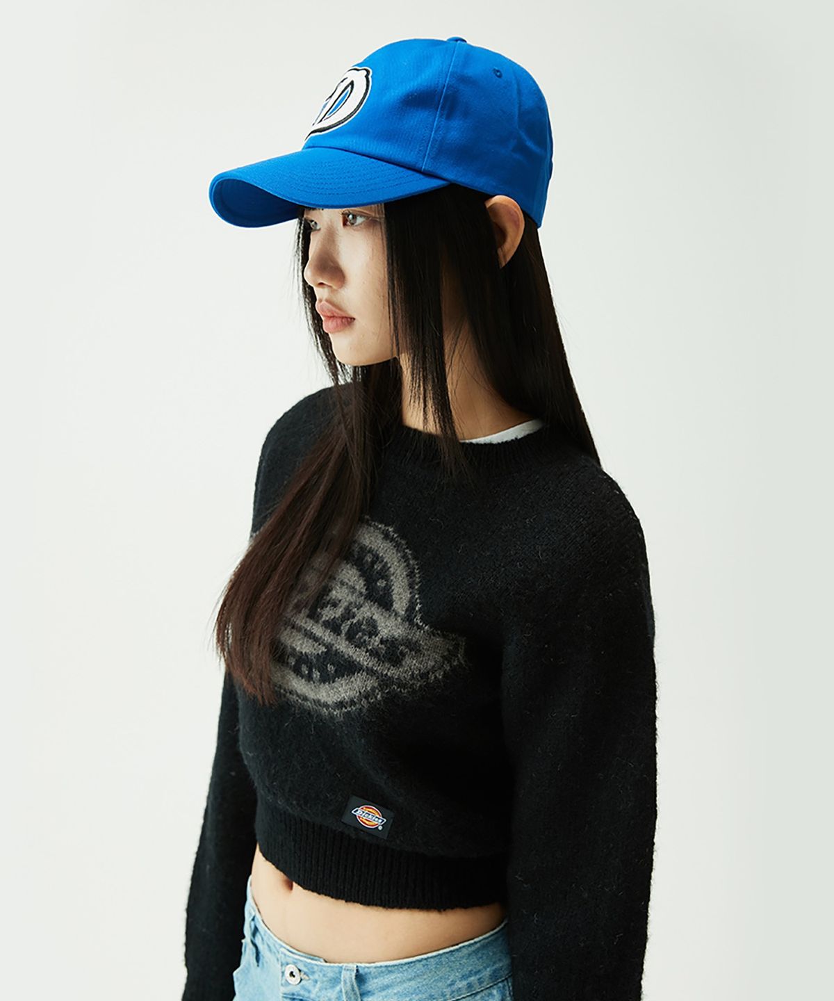디키즈(DICKIES) D 아트워크 볼캡 Blue