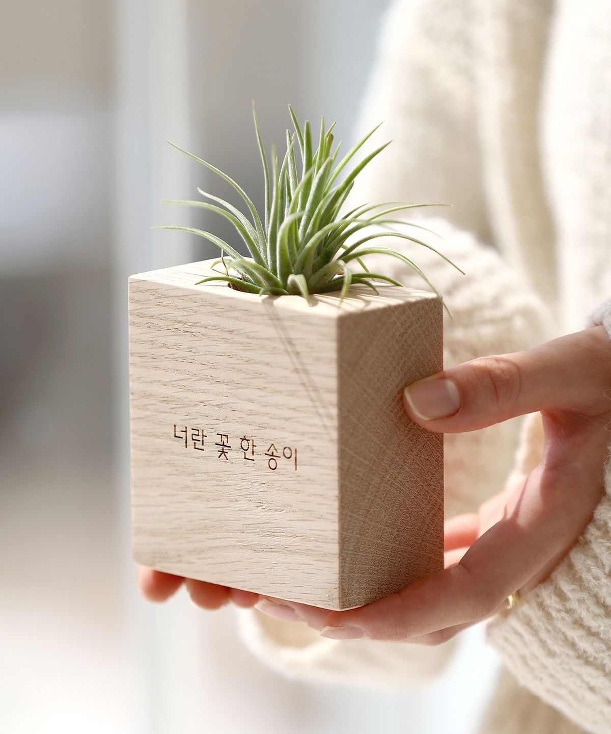 모던포인트(MODERNPOINT) 원목 각인 화분