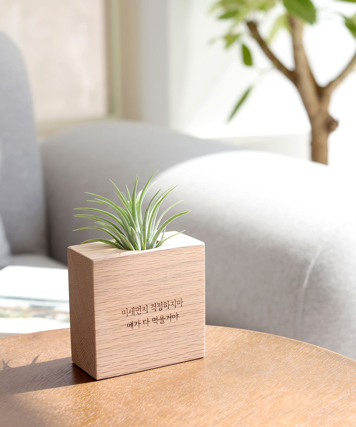 모던포인트(MODERNPOINT) 원목 각인 화분