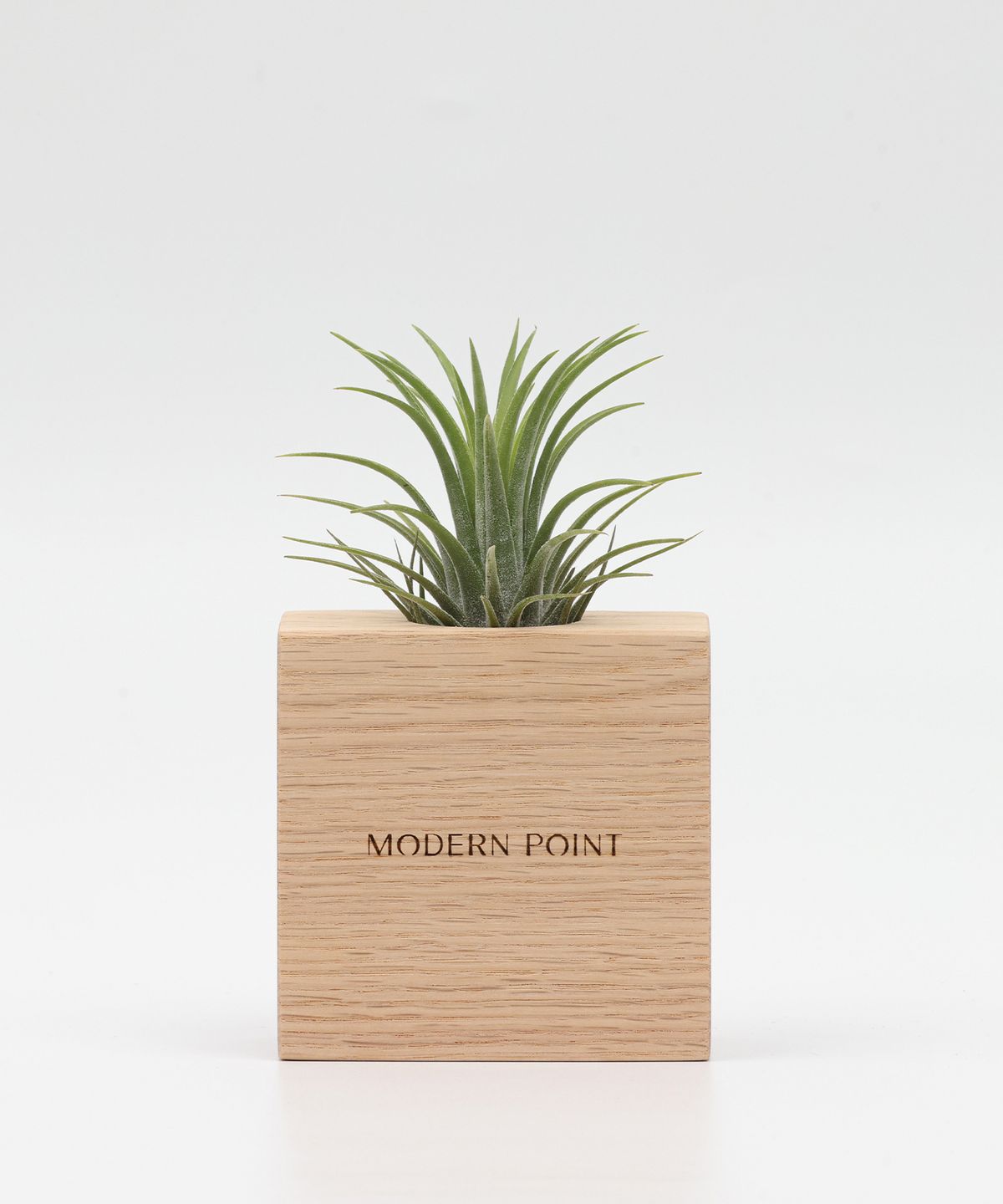모던포인트(MODERNPOINT) 원목 각인 화분