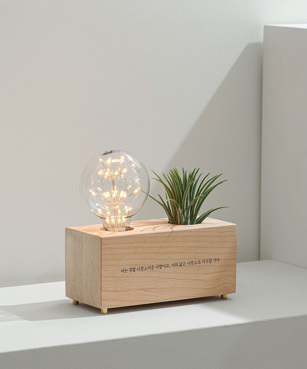 모던포인트(MODERNPOINT) 원목 각인 화분 LED 무드등