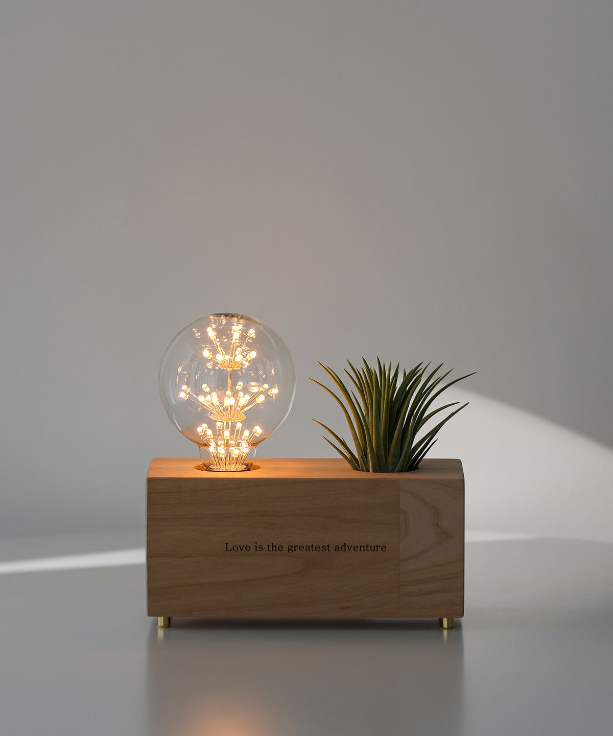 모던포인트(MODERNPOINT) 원목 각인 화분 LED 무드등