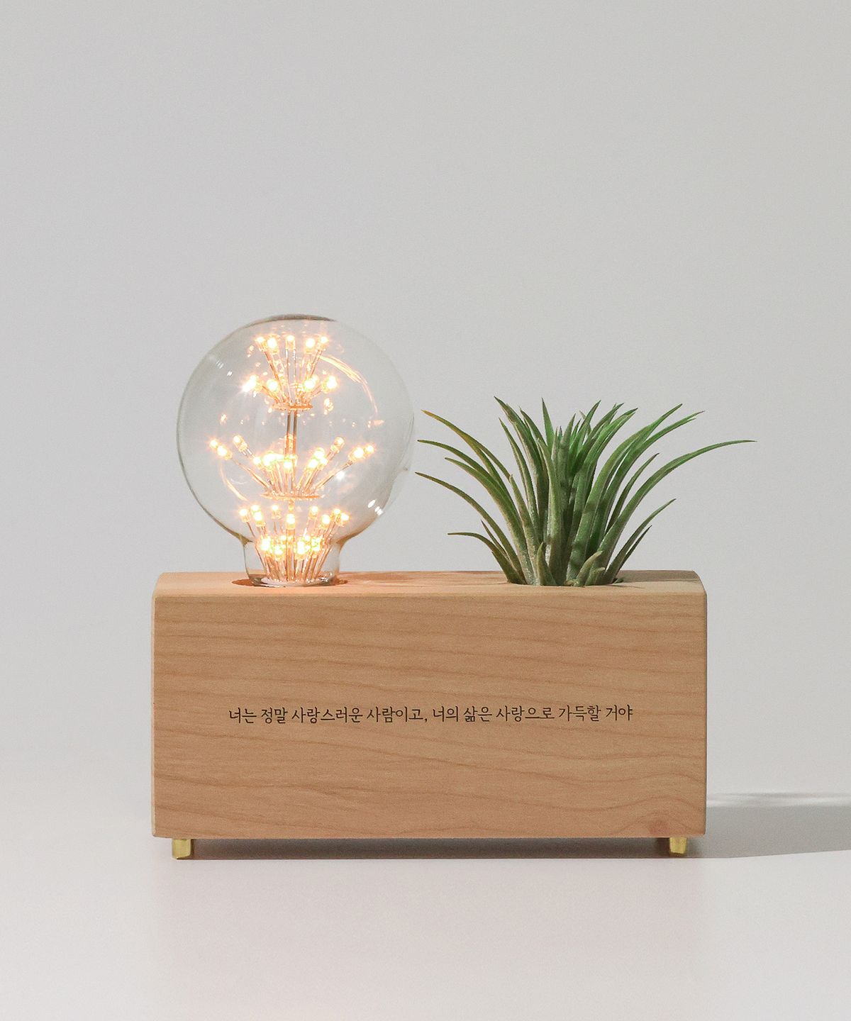 모던포인트(MODERNPOINT) 원목 각인 화분 LED 무드등