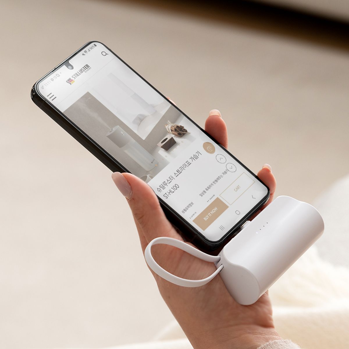 슈틸루스터(STILLUSTER) 2IN1 일체형 도킹형 보조배터리 2p 5000mAh ST-AB100