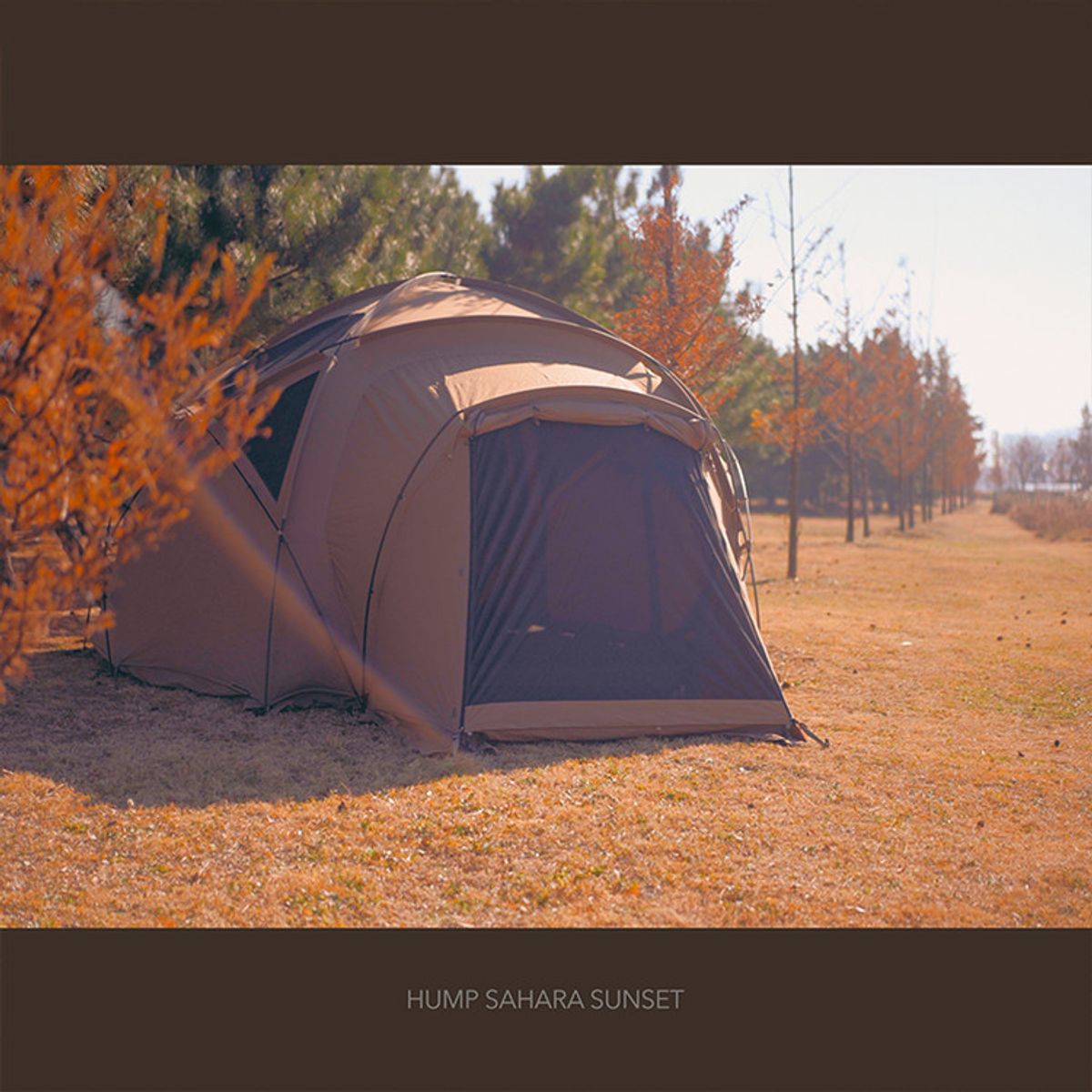 1953캠퍼스칸(1953 CAMPERS KHAN) 험프 사하라 선셋