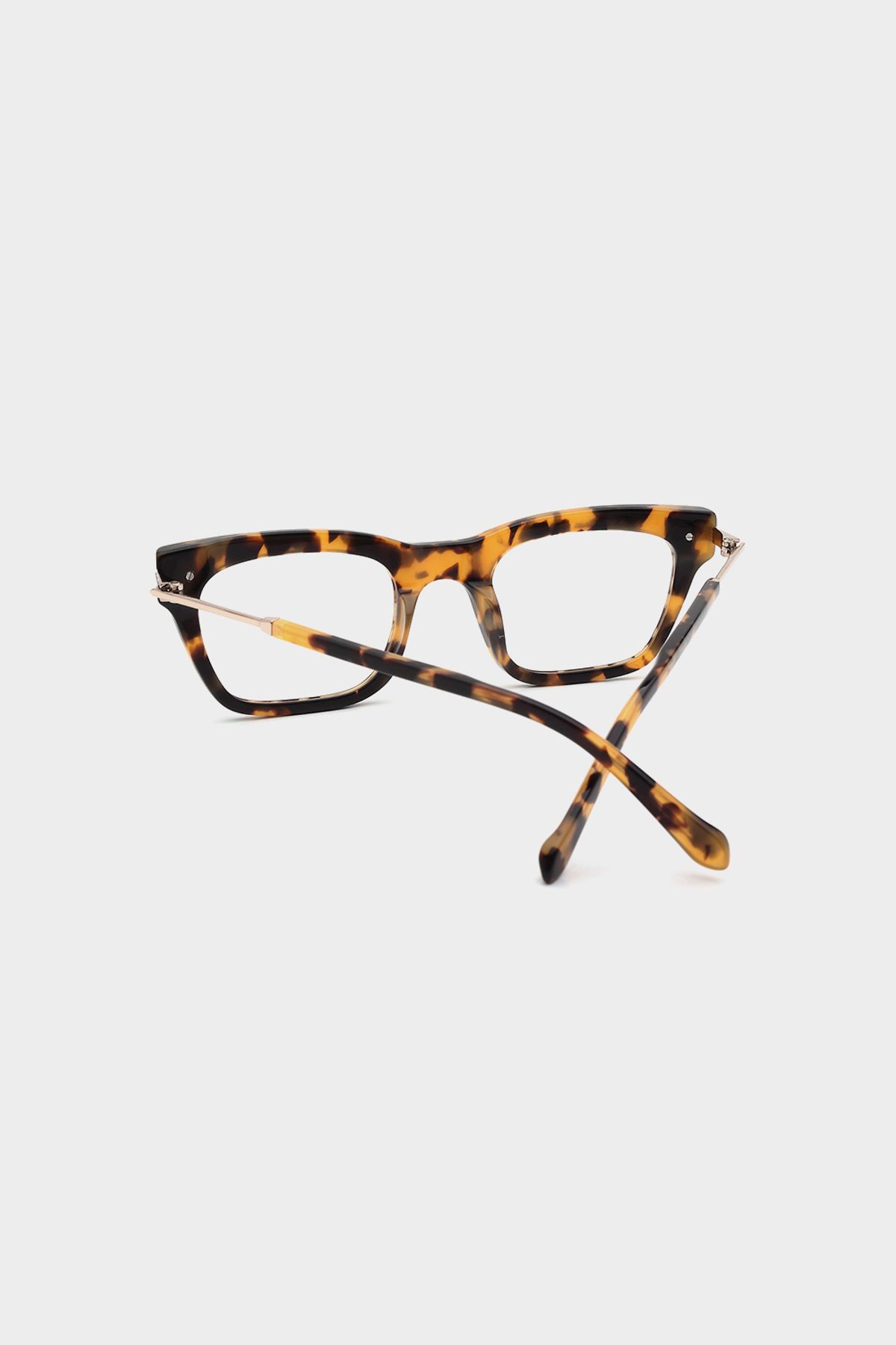 카렌 워커(KAREN WALKER) 니콜라 크레이지 톨토이즈