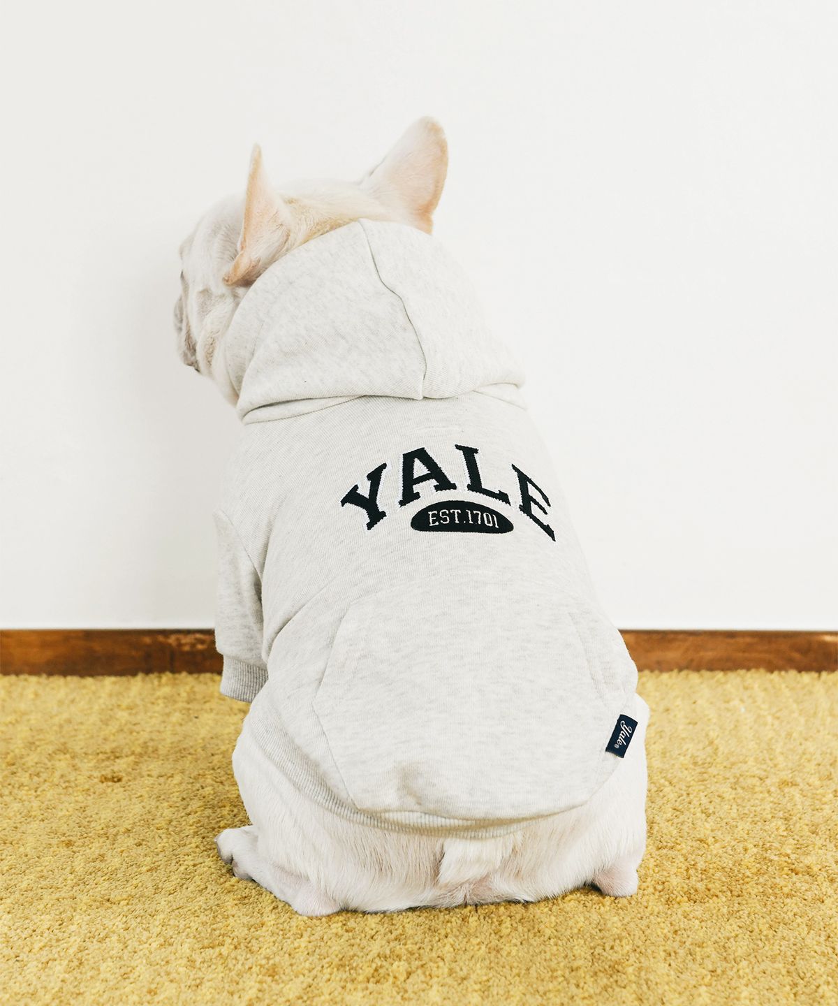 예일(YALE) 투톤아치 도기 후드_아이보리