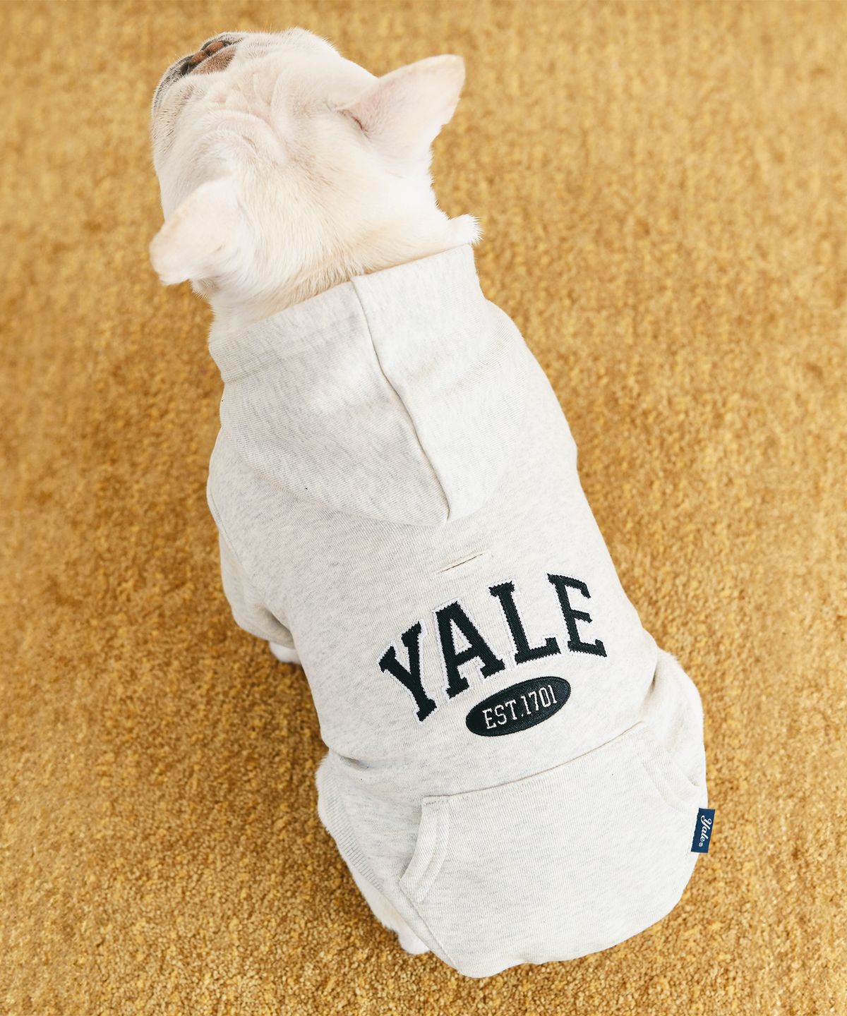 예일(YALE) 투톤아치 도기 후드_아이보리