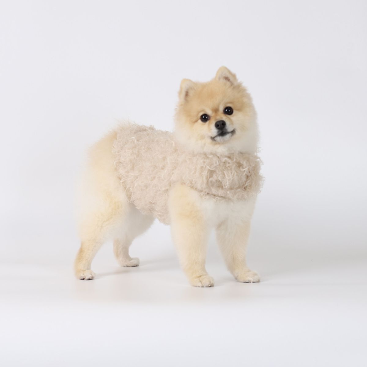 몽루(MONLOUP) 코쿤